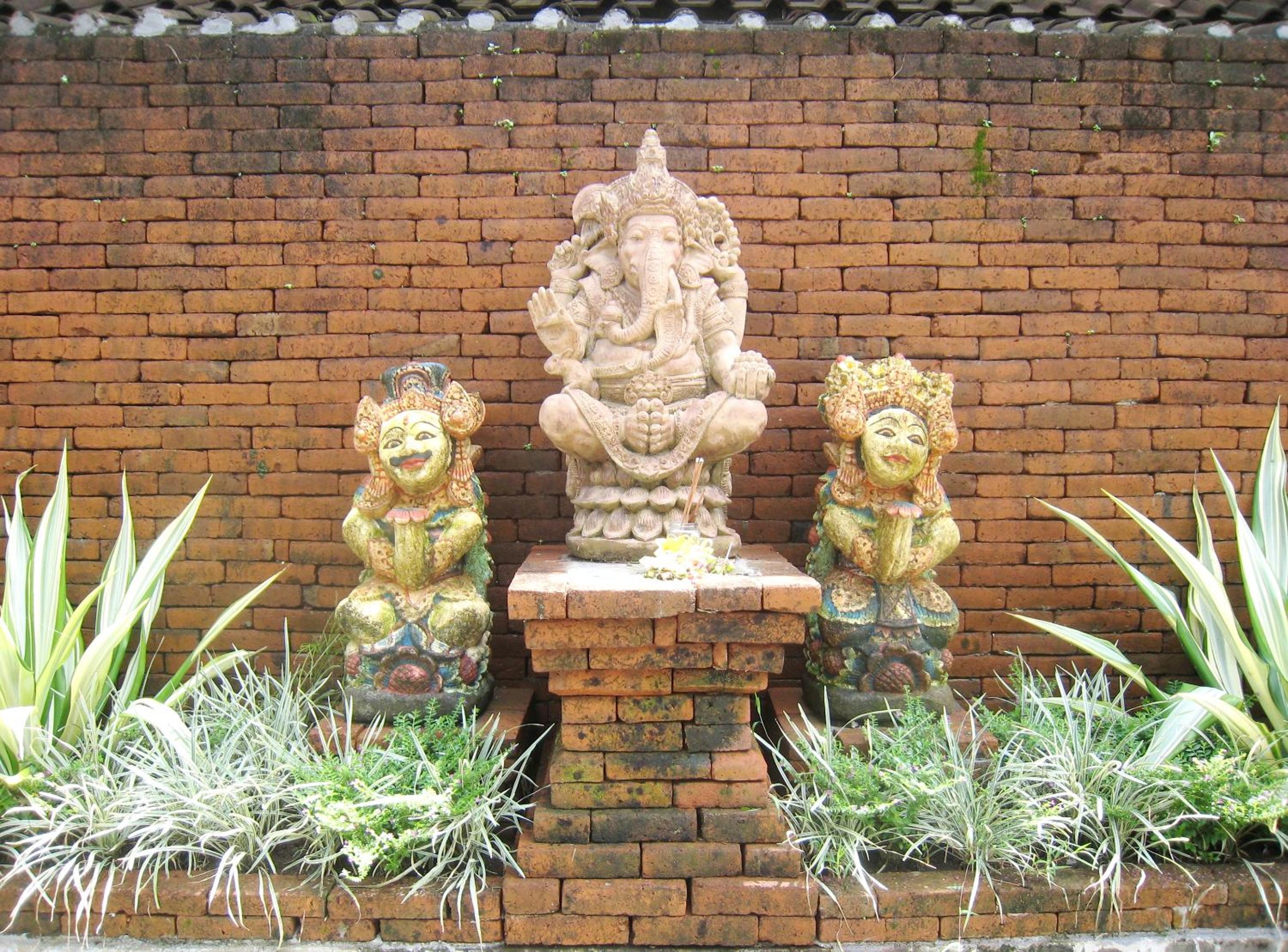 Photo 19