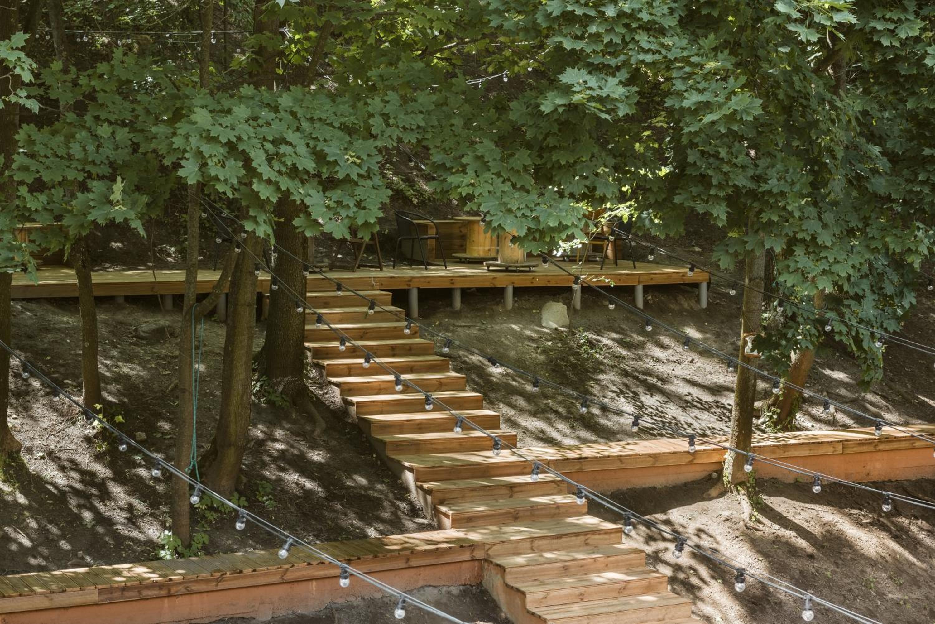Downtown Forest Hostel & Camping