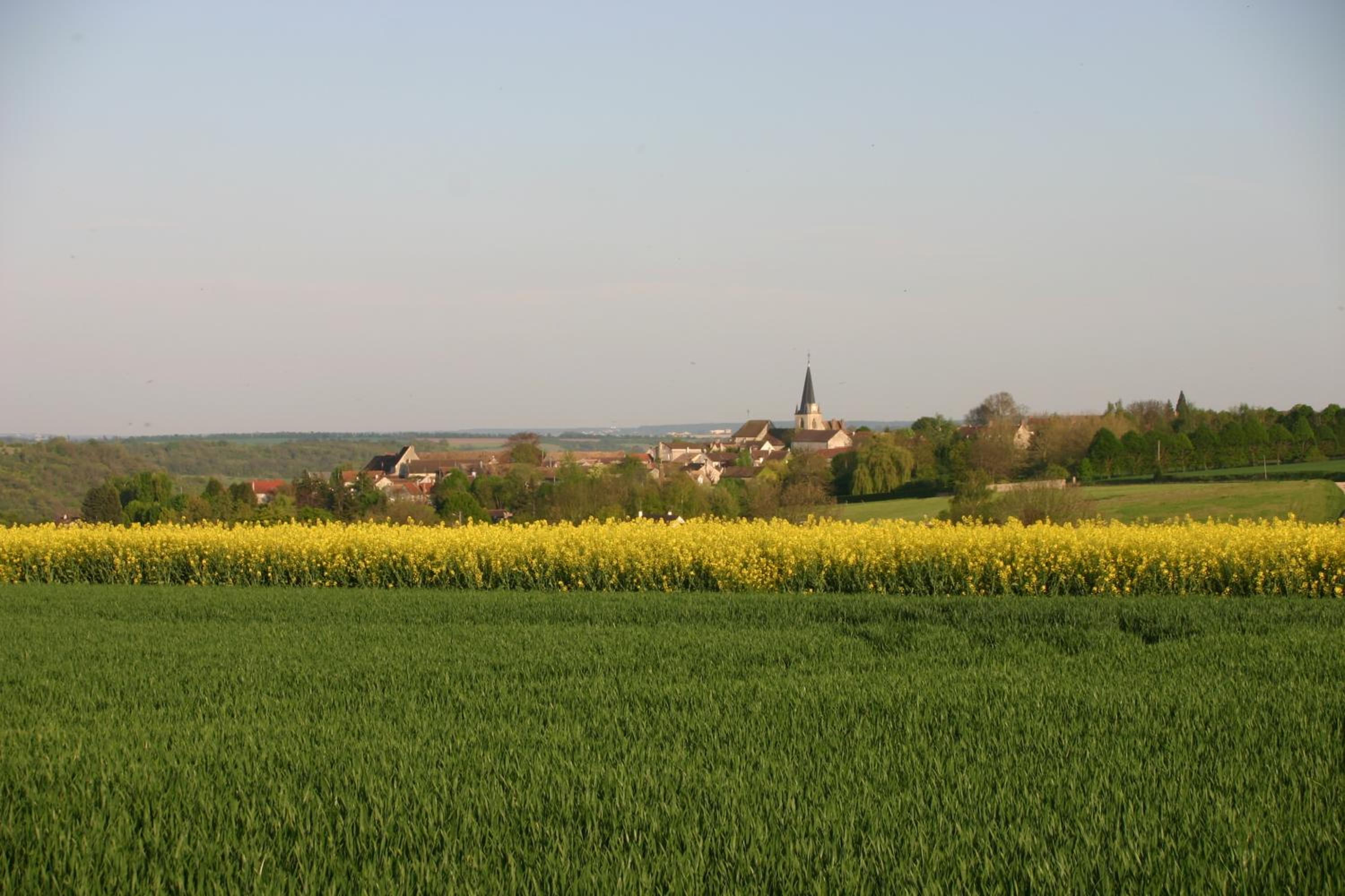 Photo 31