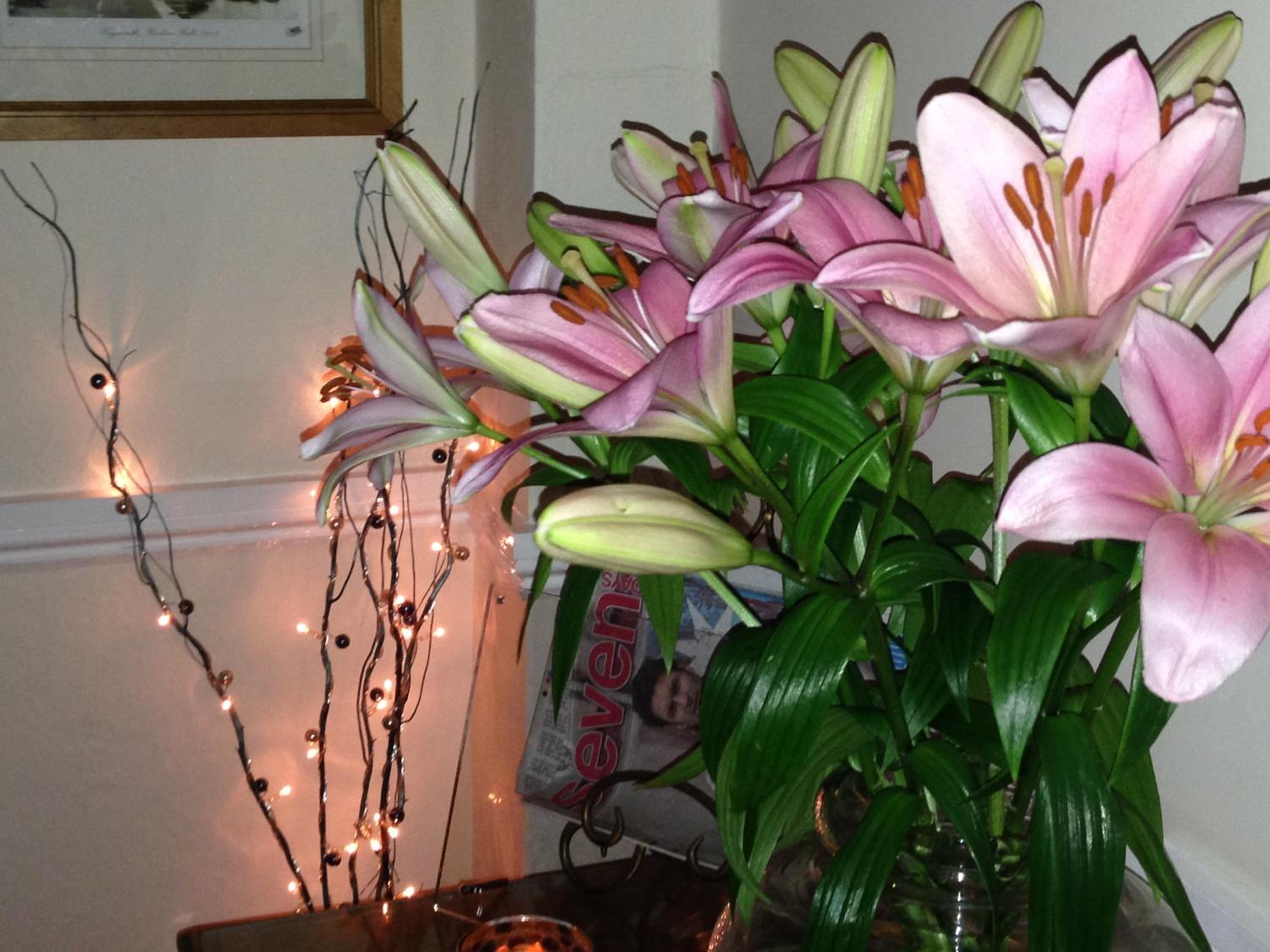 Photo 9