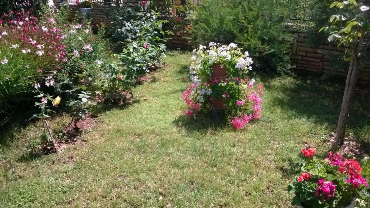 Photo 46