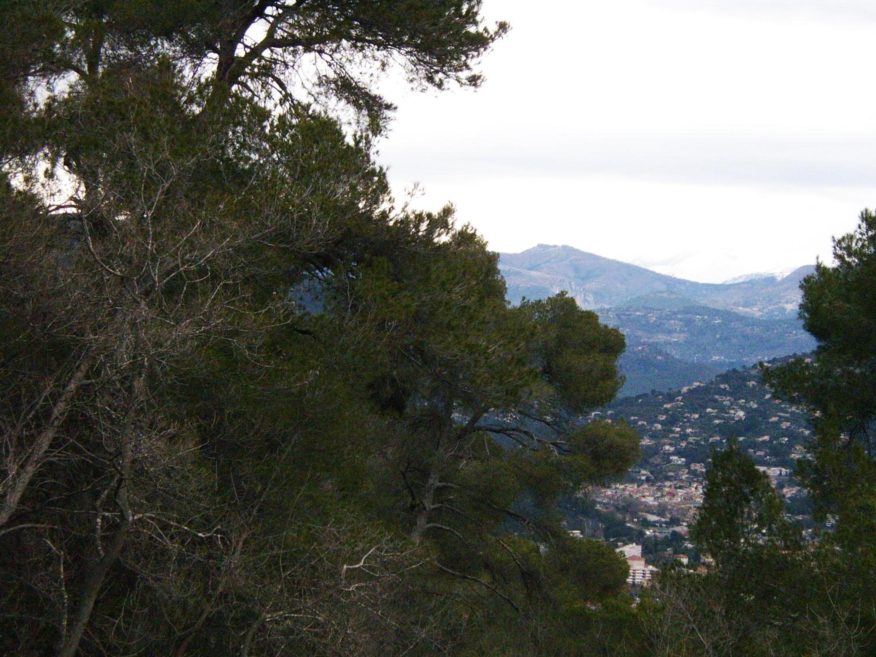 Photo 28
