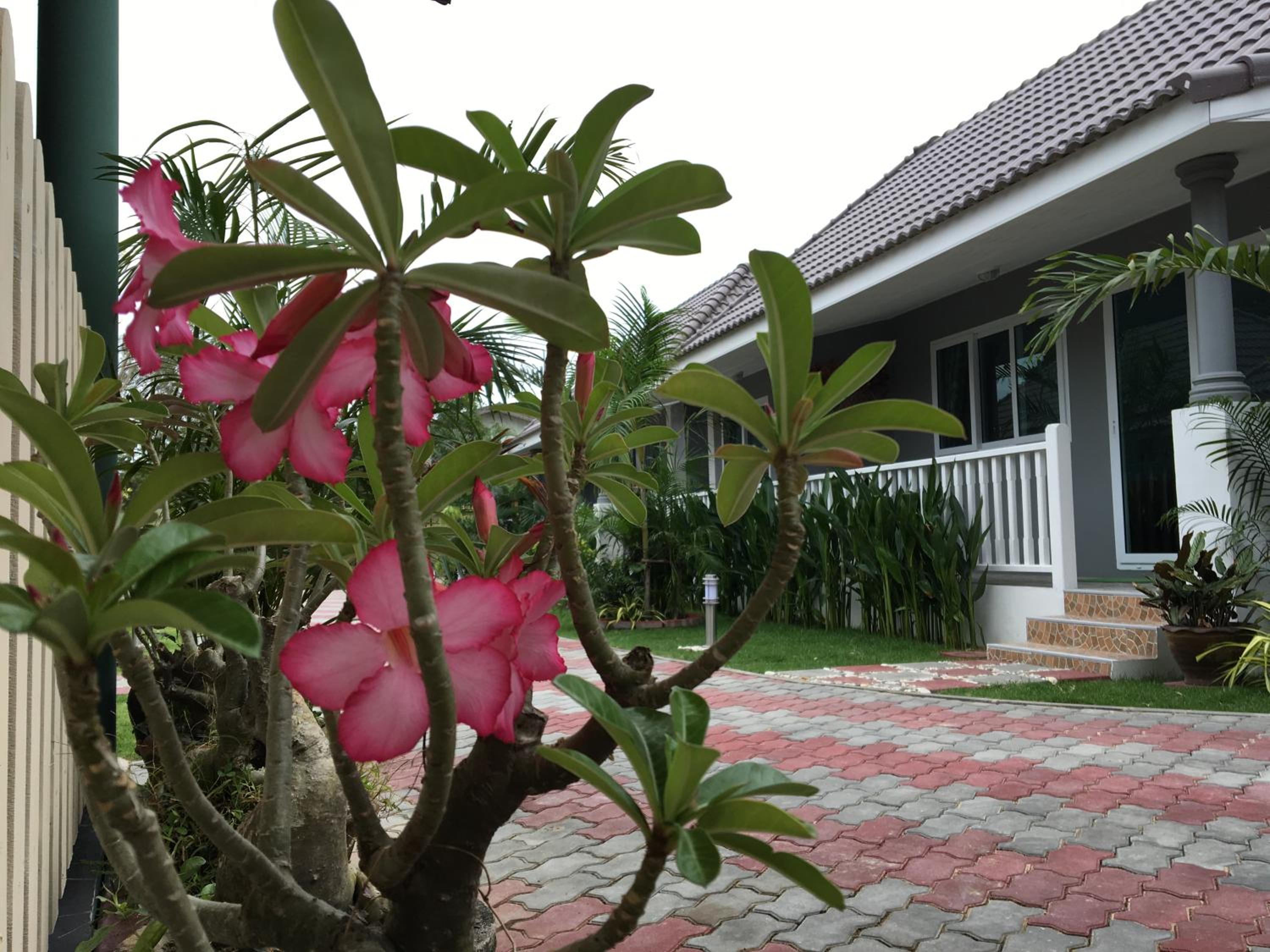 Baan Penny