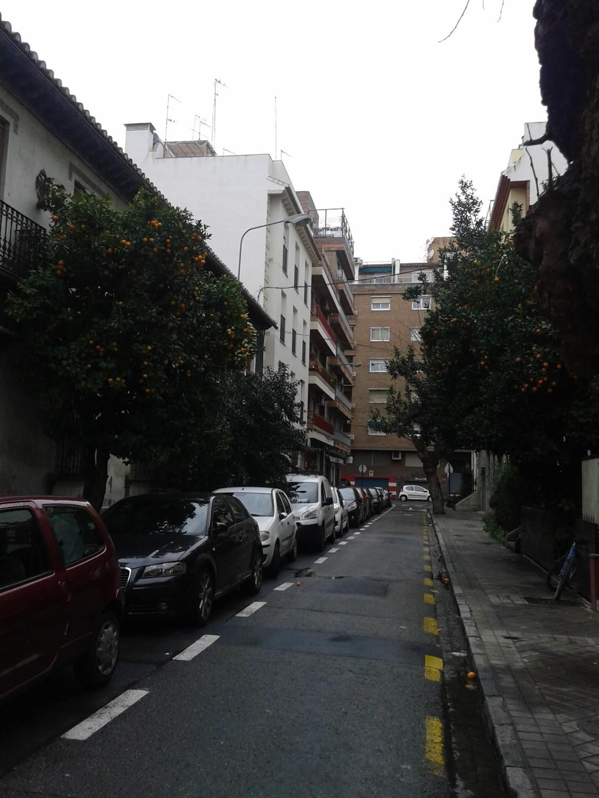 New La Granada
