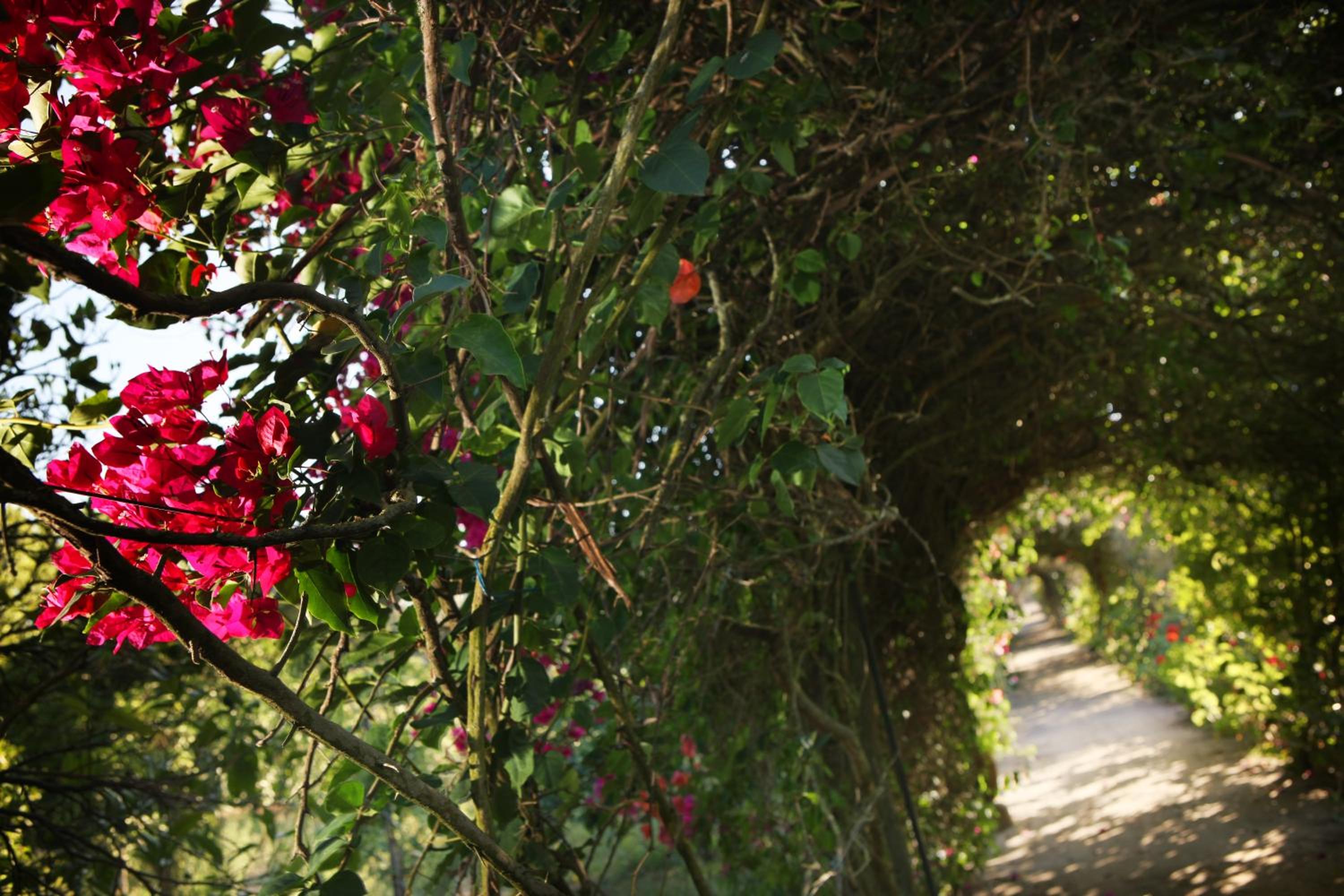Quinta Da Praia Das Fontes