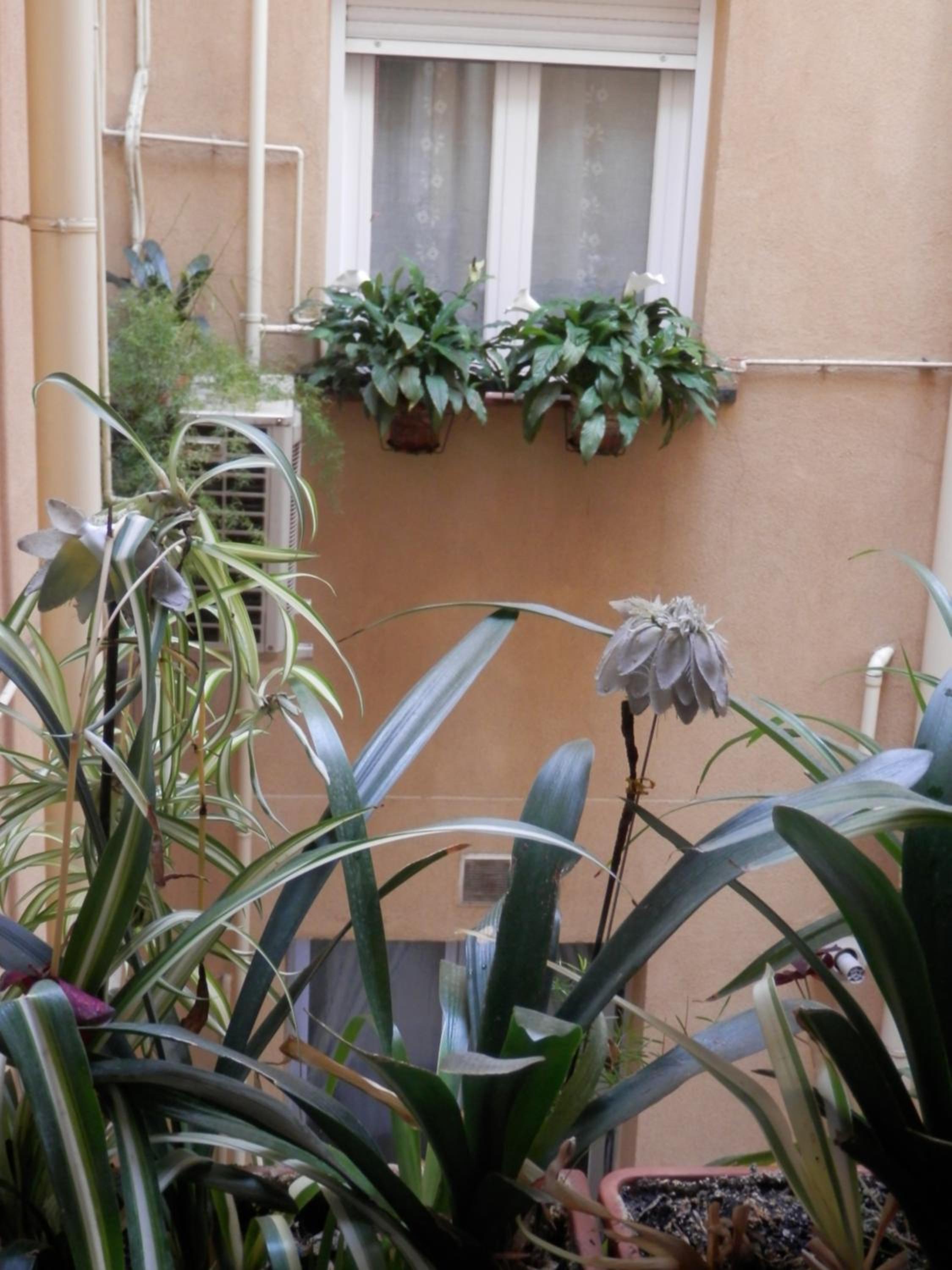 Hostal del Pez Azul