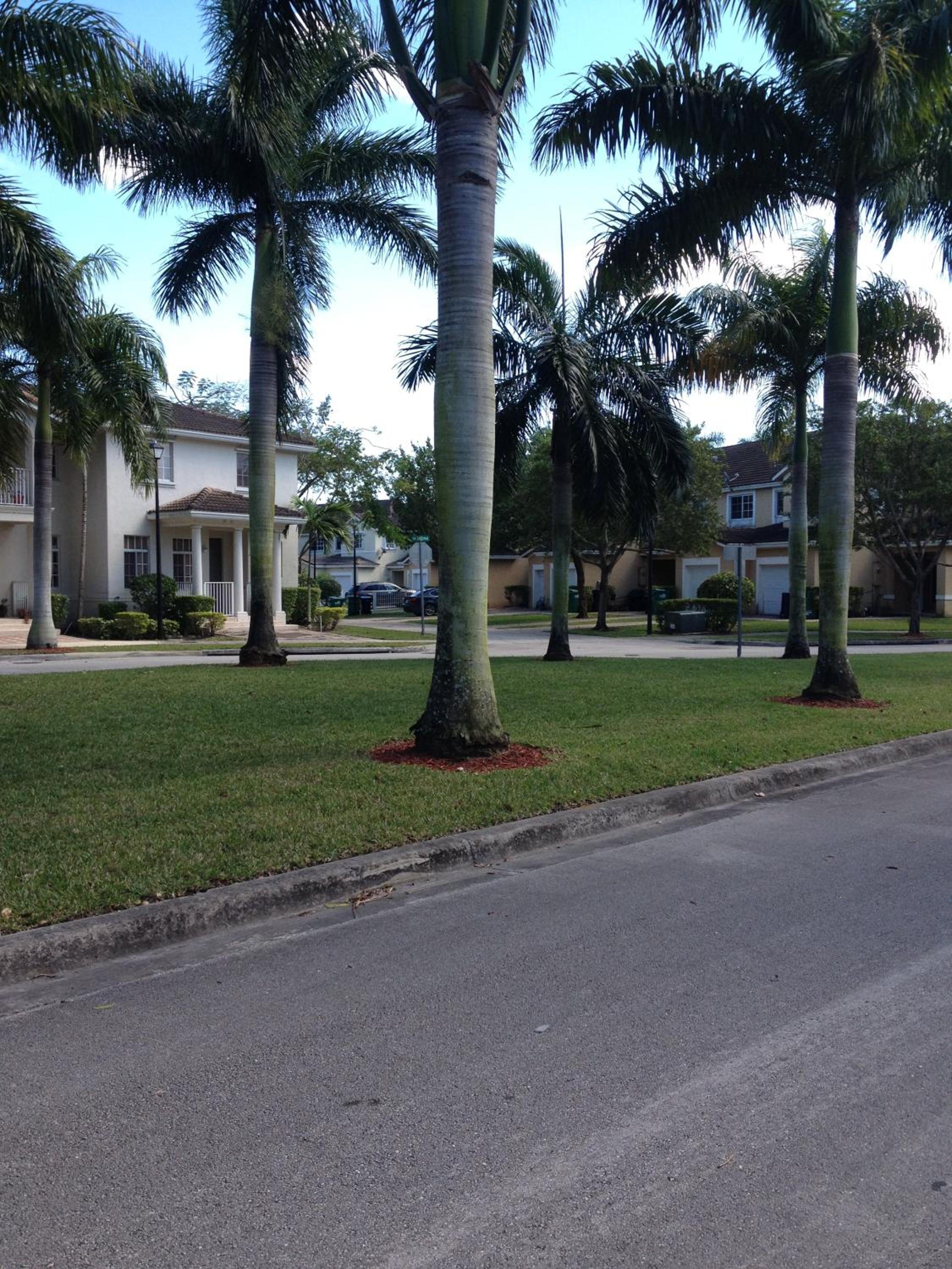 Speedway Blvd Townhouse view 2