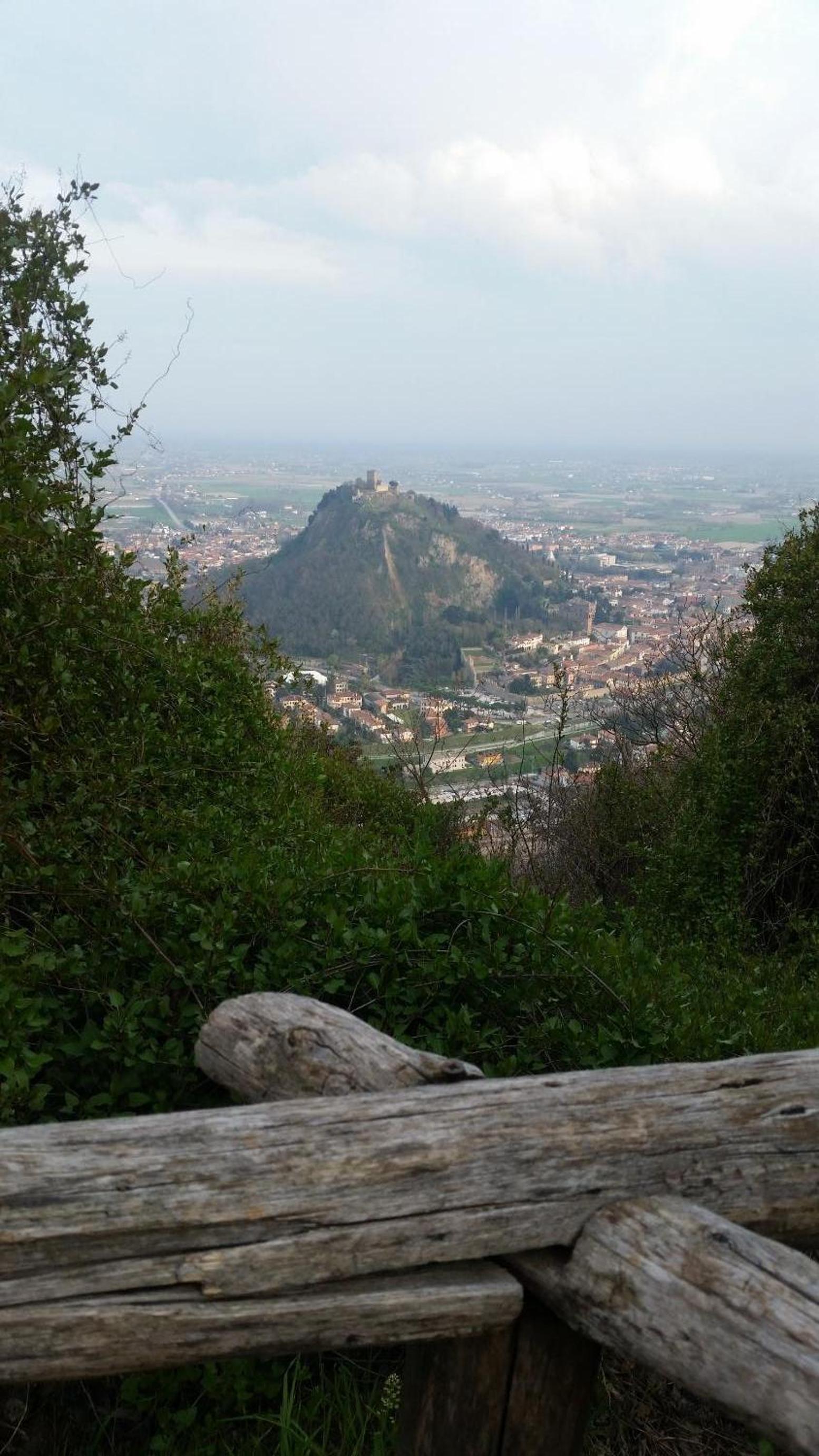Photo 45