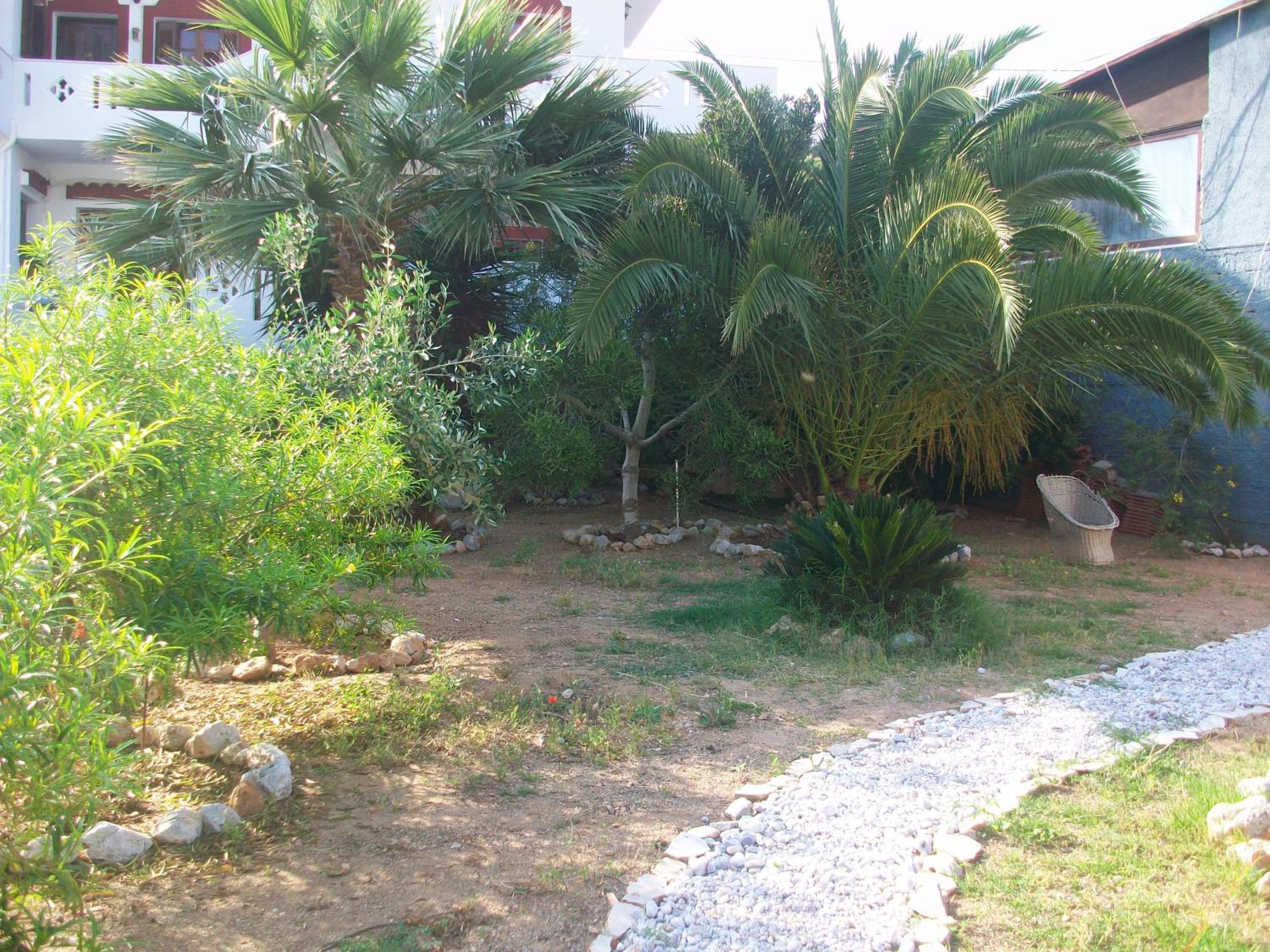 Photo 7