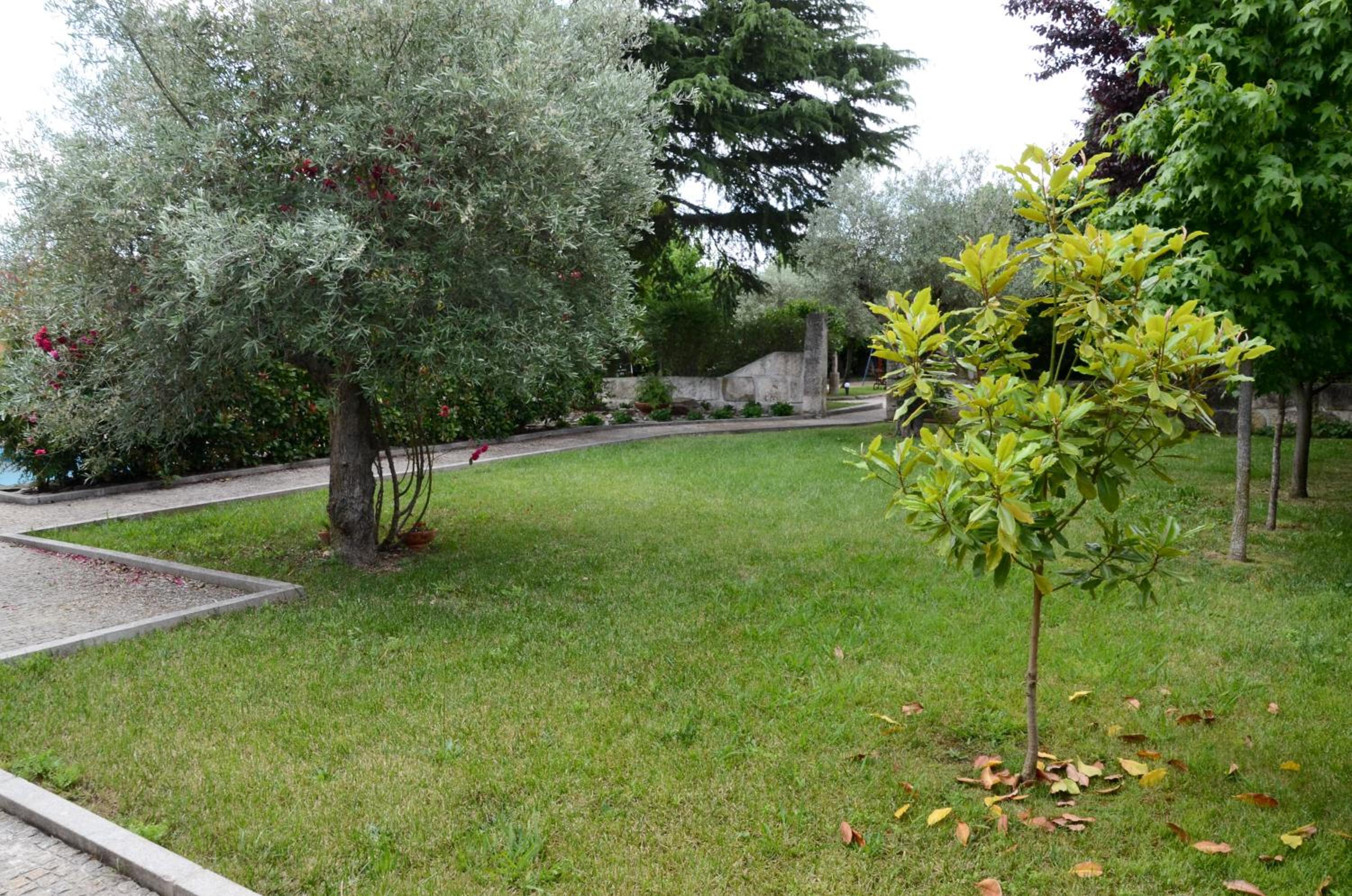 Photo 38