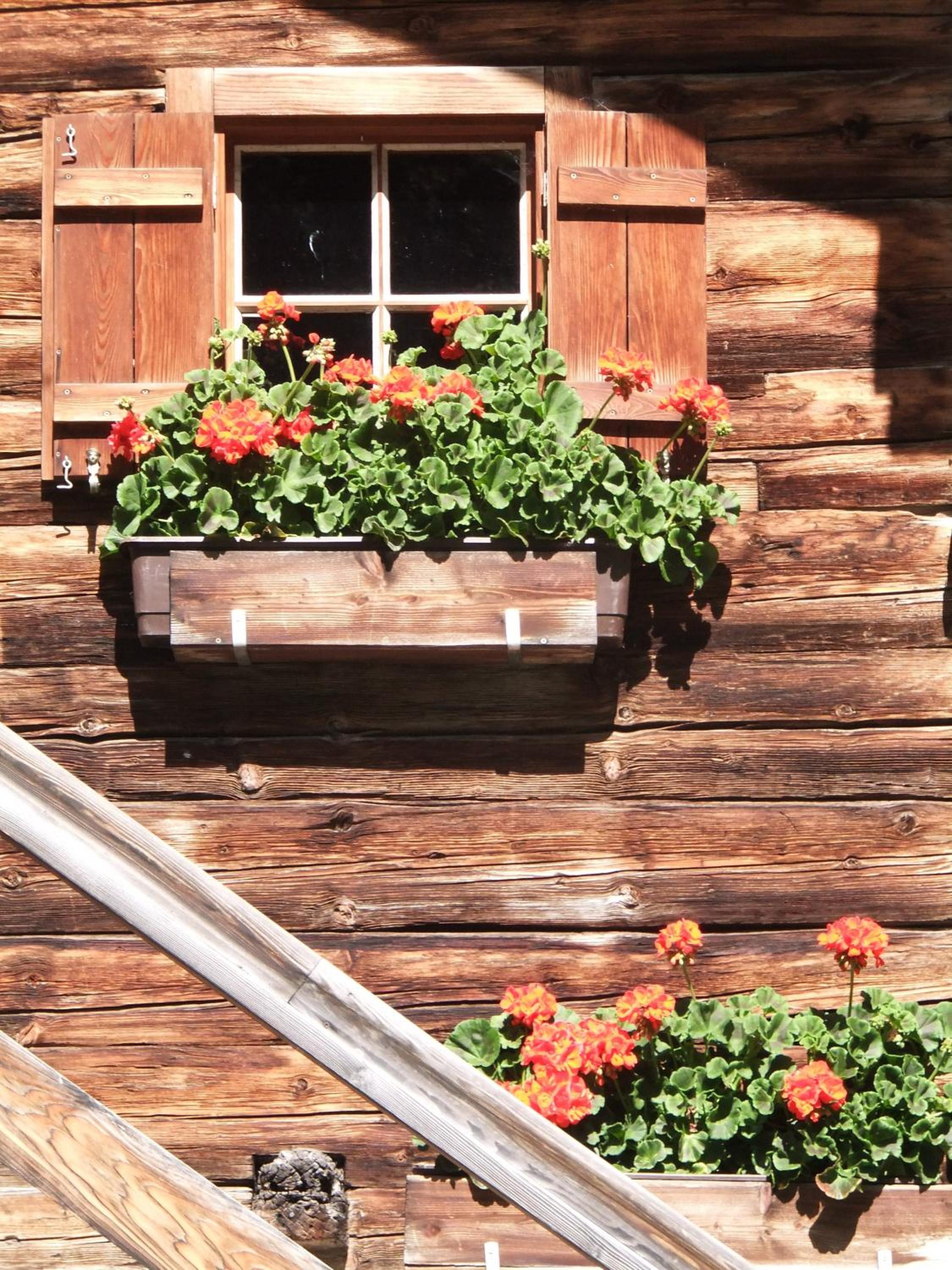 Apart-Pension Oberreiter
