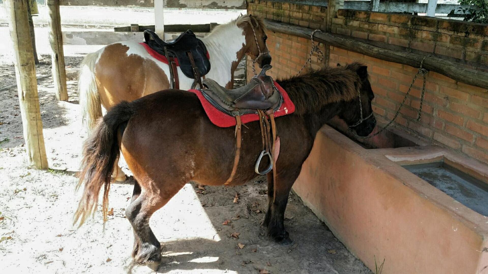 Pousada Suítes Águas de São Pedro