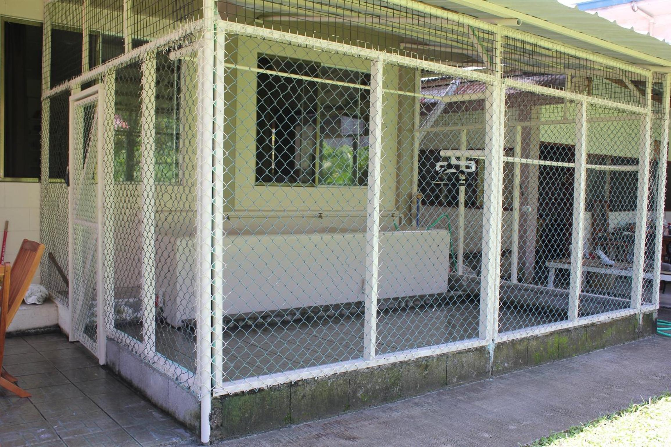 Photo 8