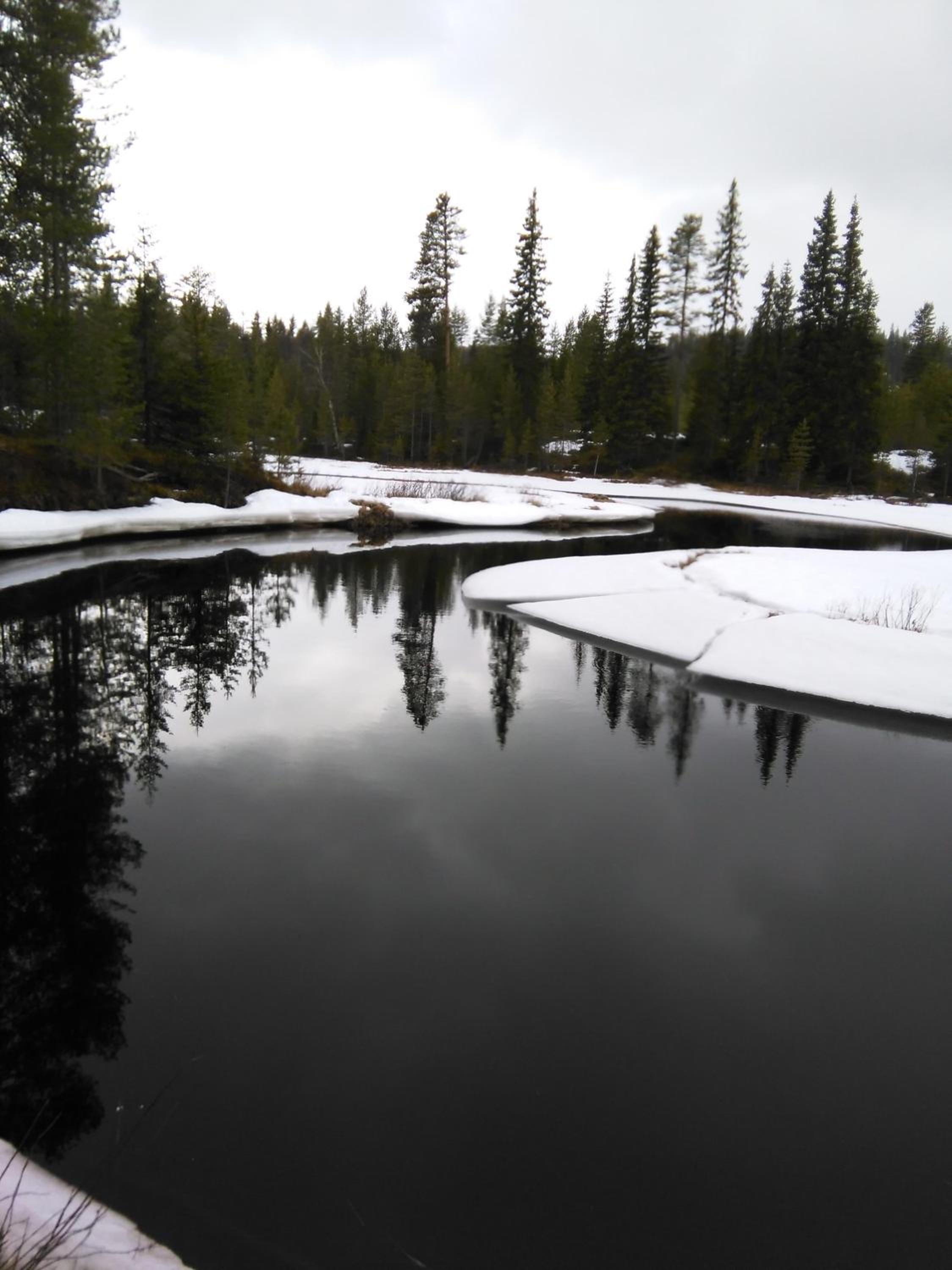 Photo 26