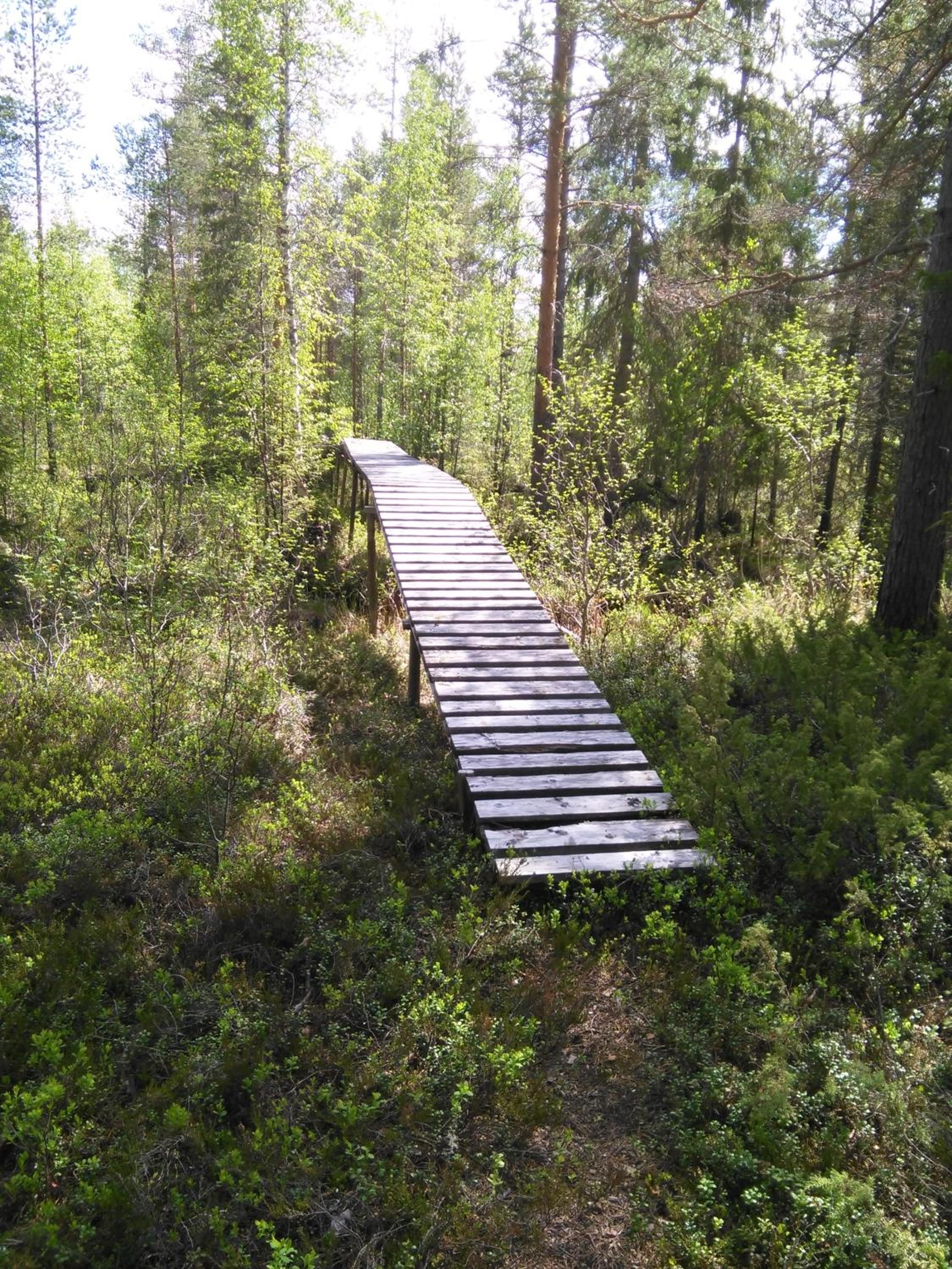 Photo 23
