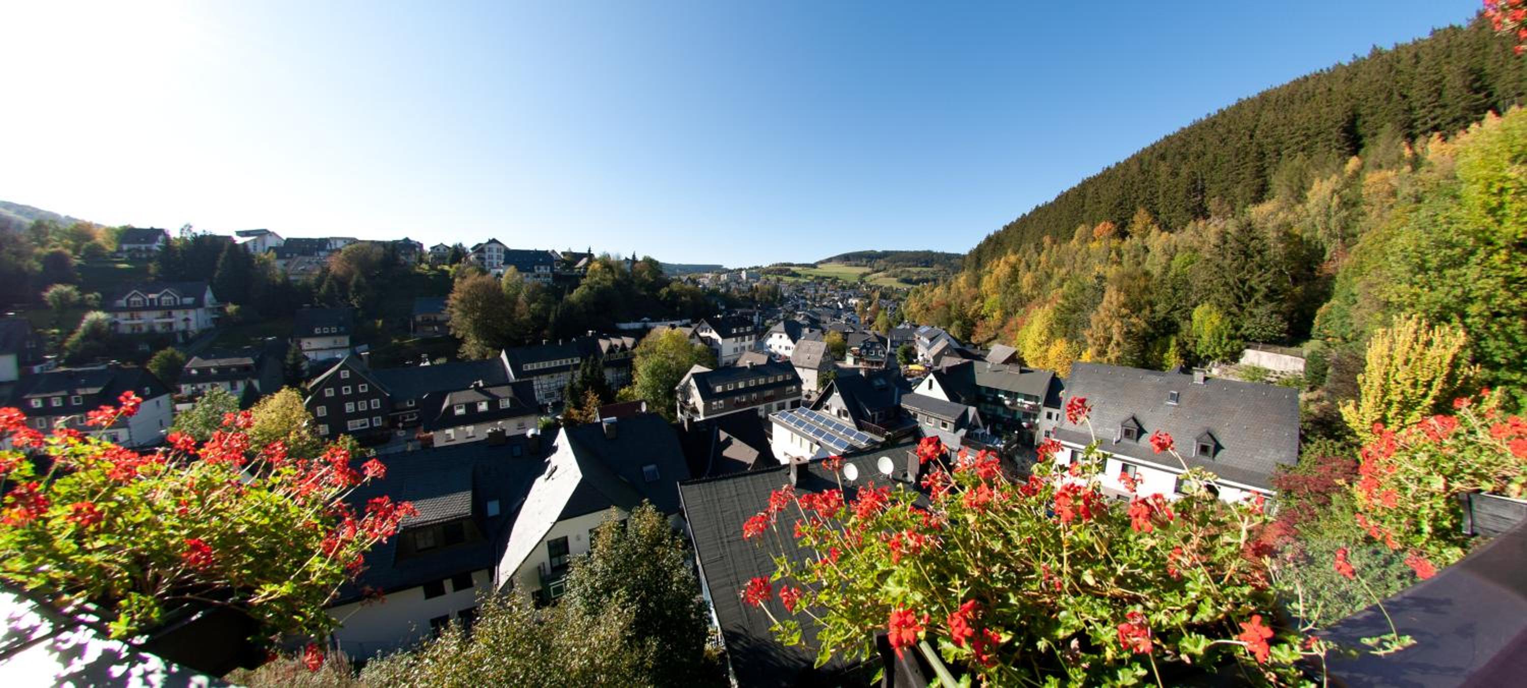 Café Alt Willingen