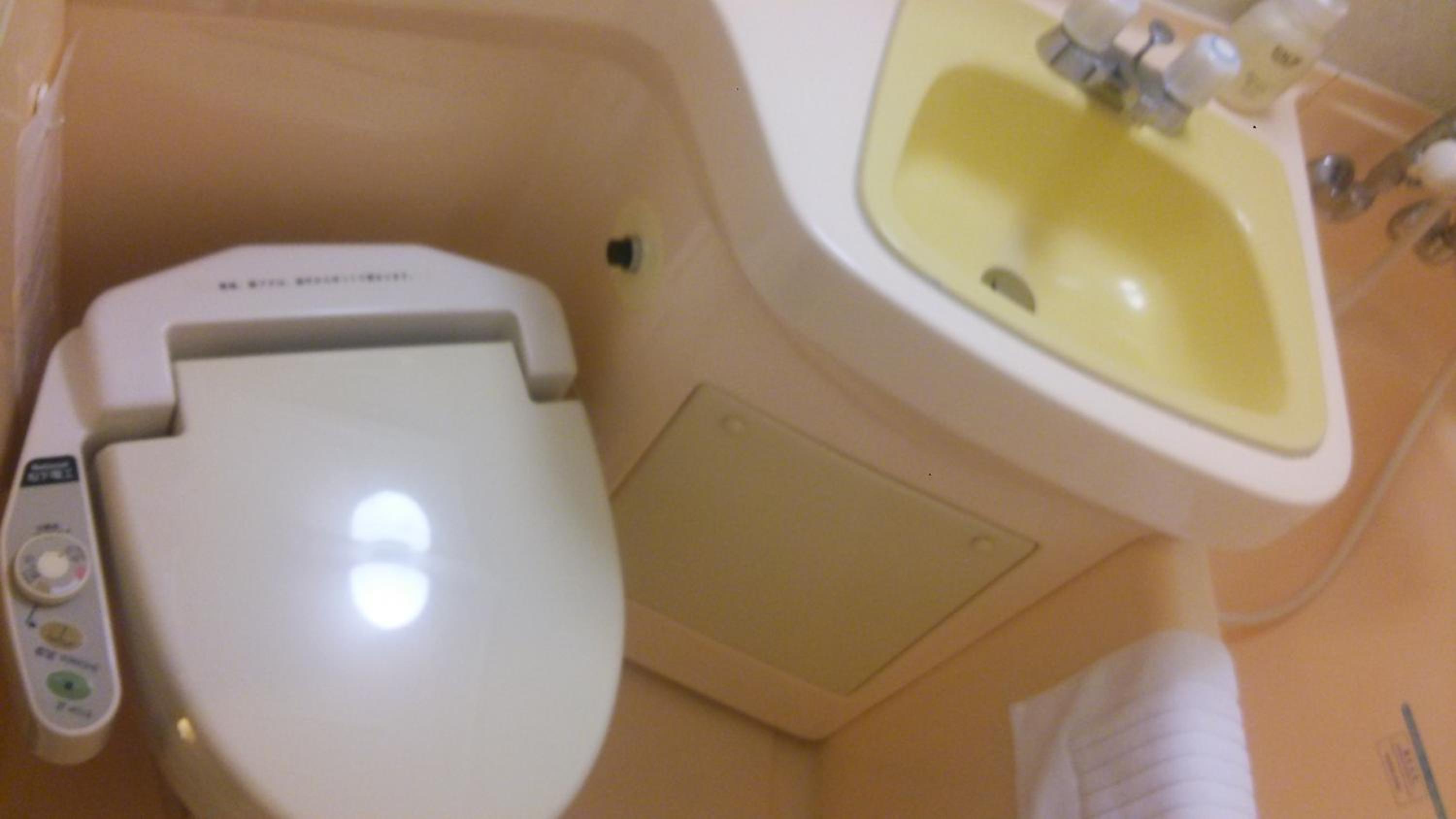 Hotel Crownhills Fukushima, Fukushima - 10