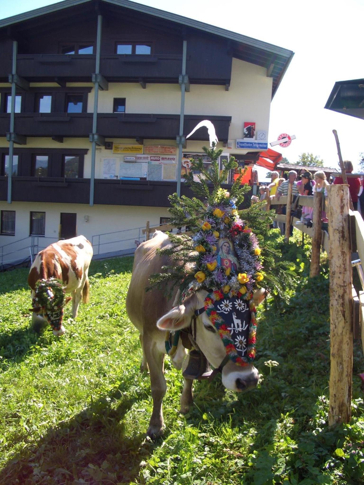 Moida-Ferienwohnung