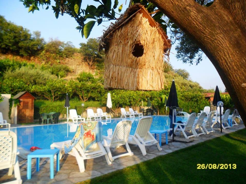 Photo 8