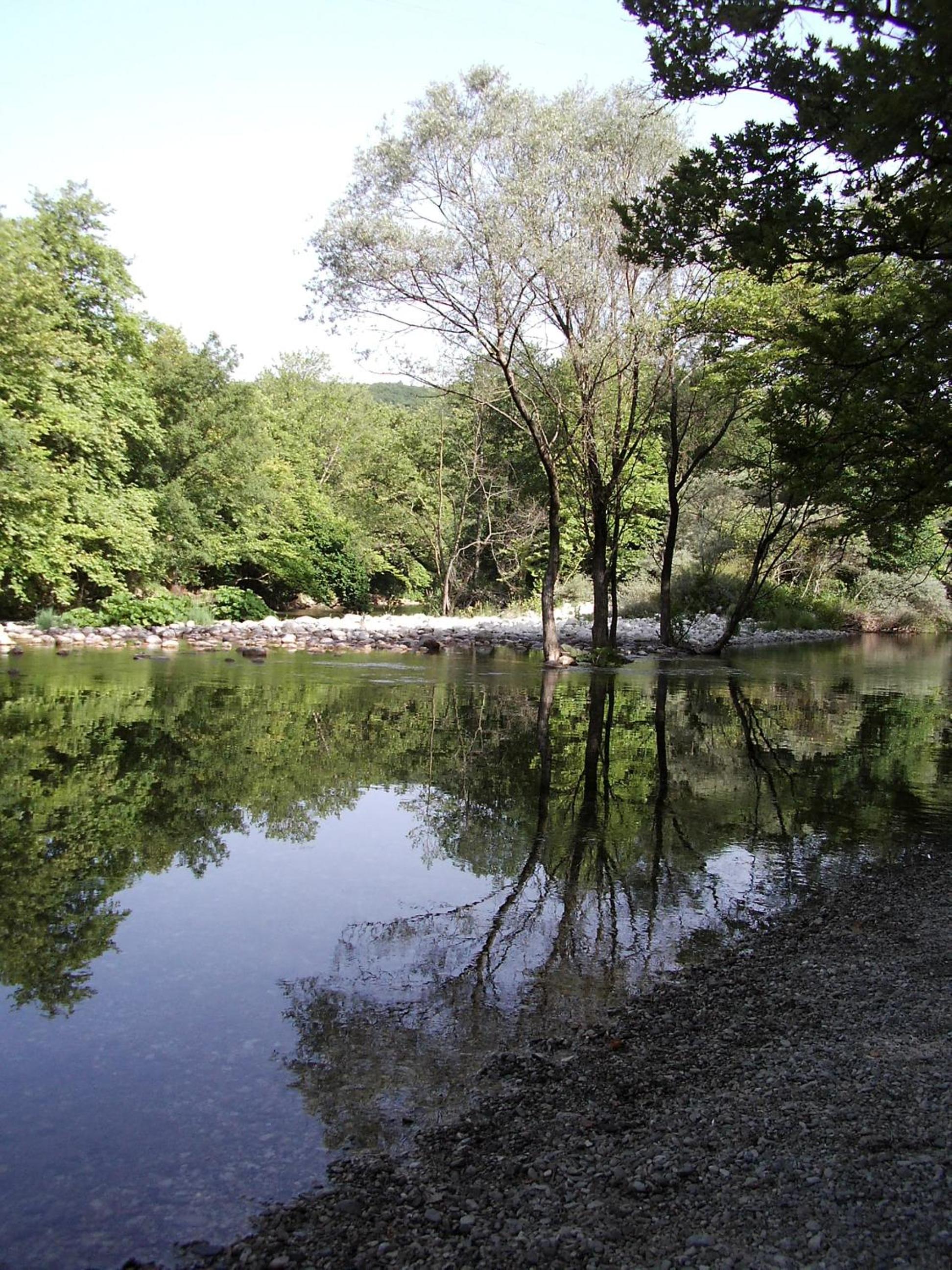 Photo 29