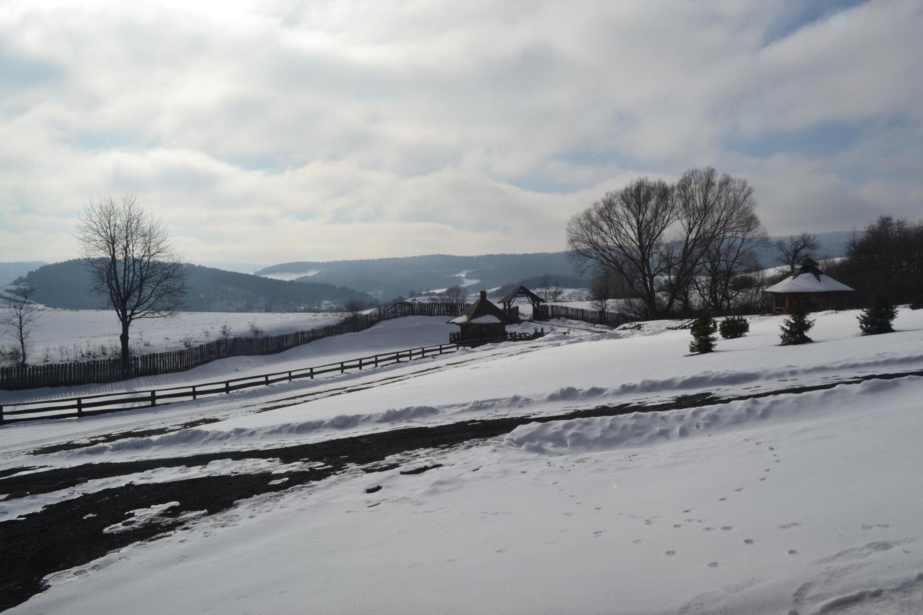 Photo 13