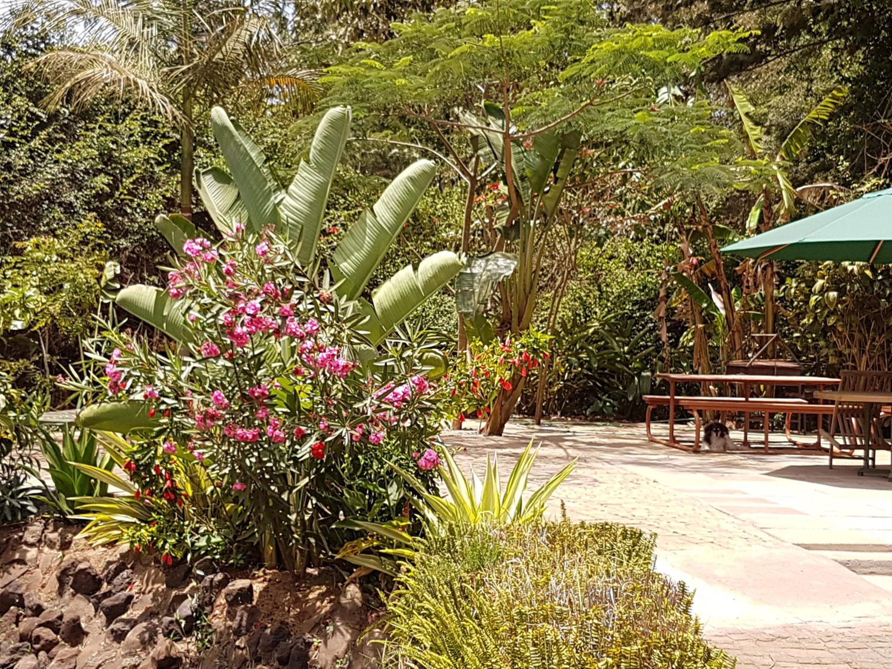 Spurwing Guest House
