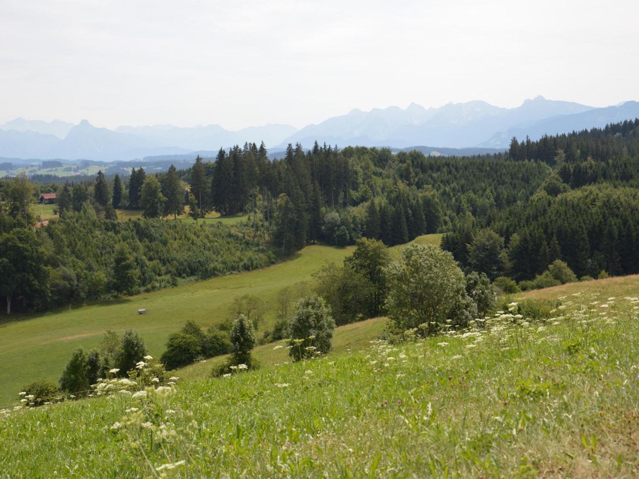 Pension Mittelallgau - Property Image 4