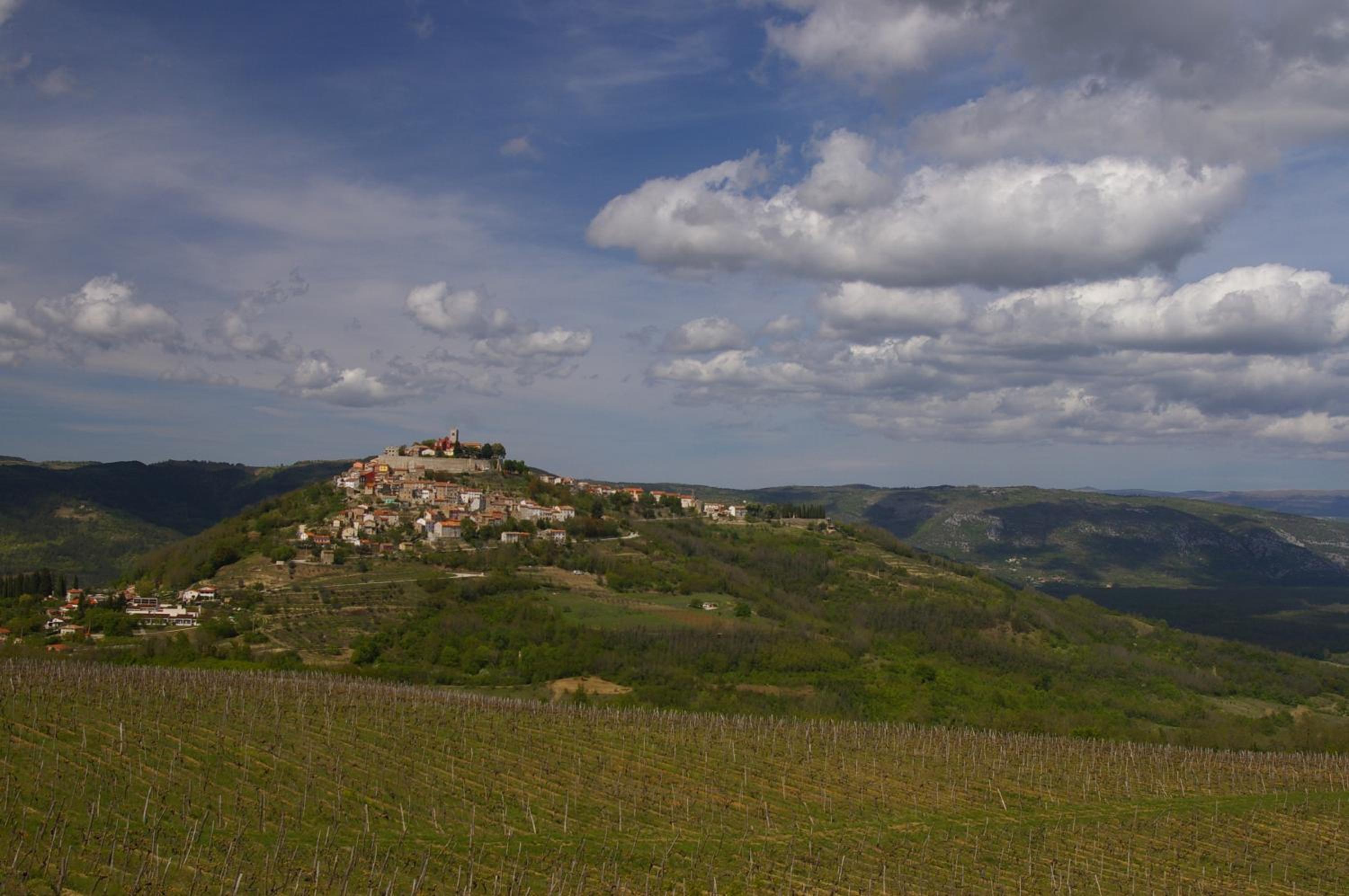 Villa Borgo B&B