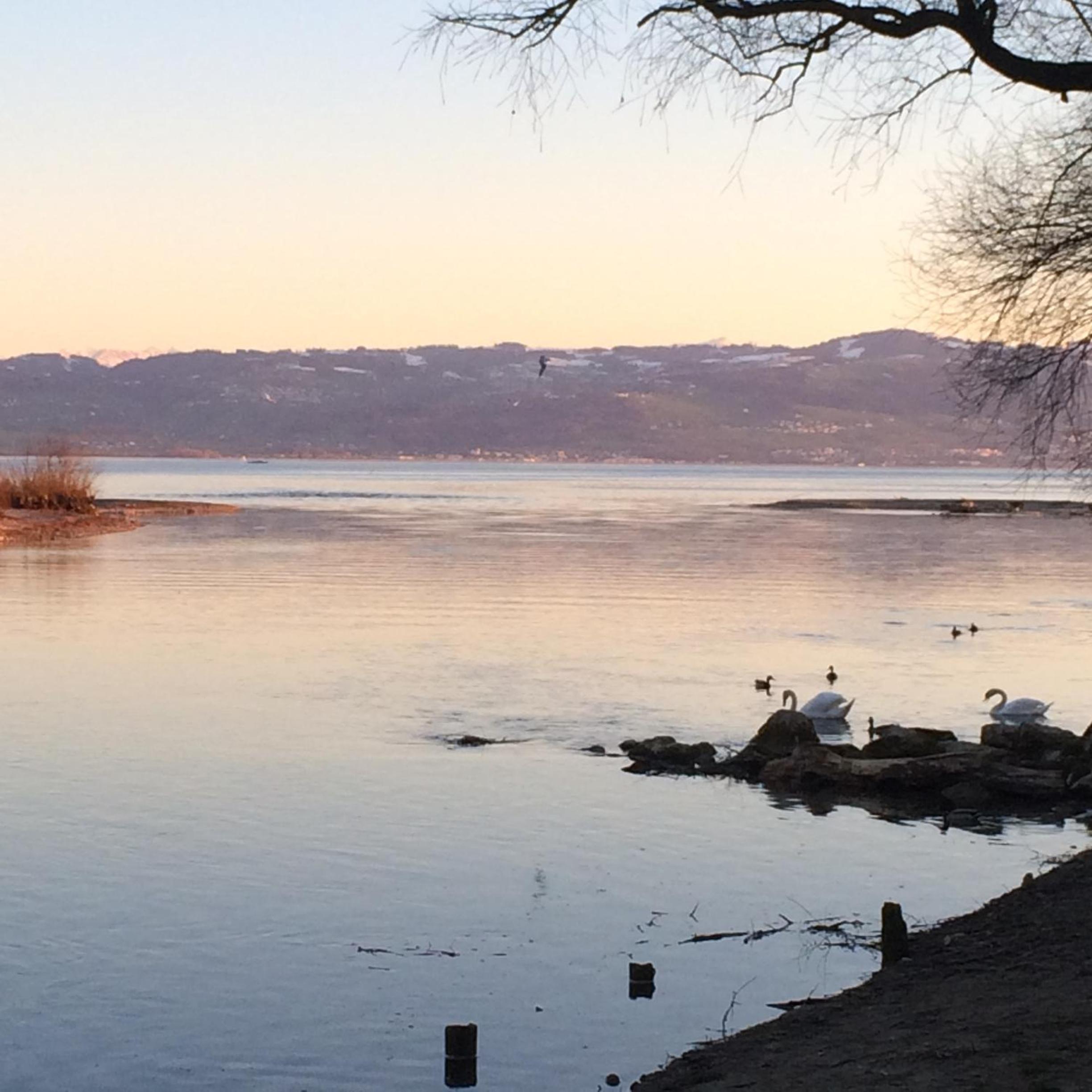 Ferienwohnung am Bodensee
