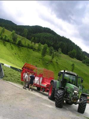Bad Kleinkirchheim Bio Naturhof Ottingerhof