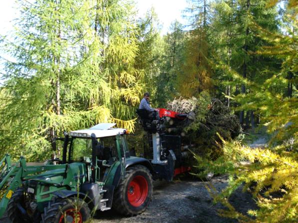 Bad Kleinkirchheim Bio Naturhof Ottingerhof