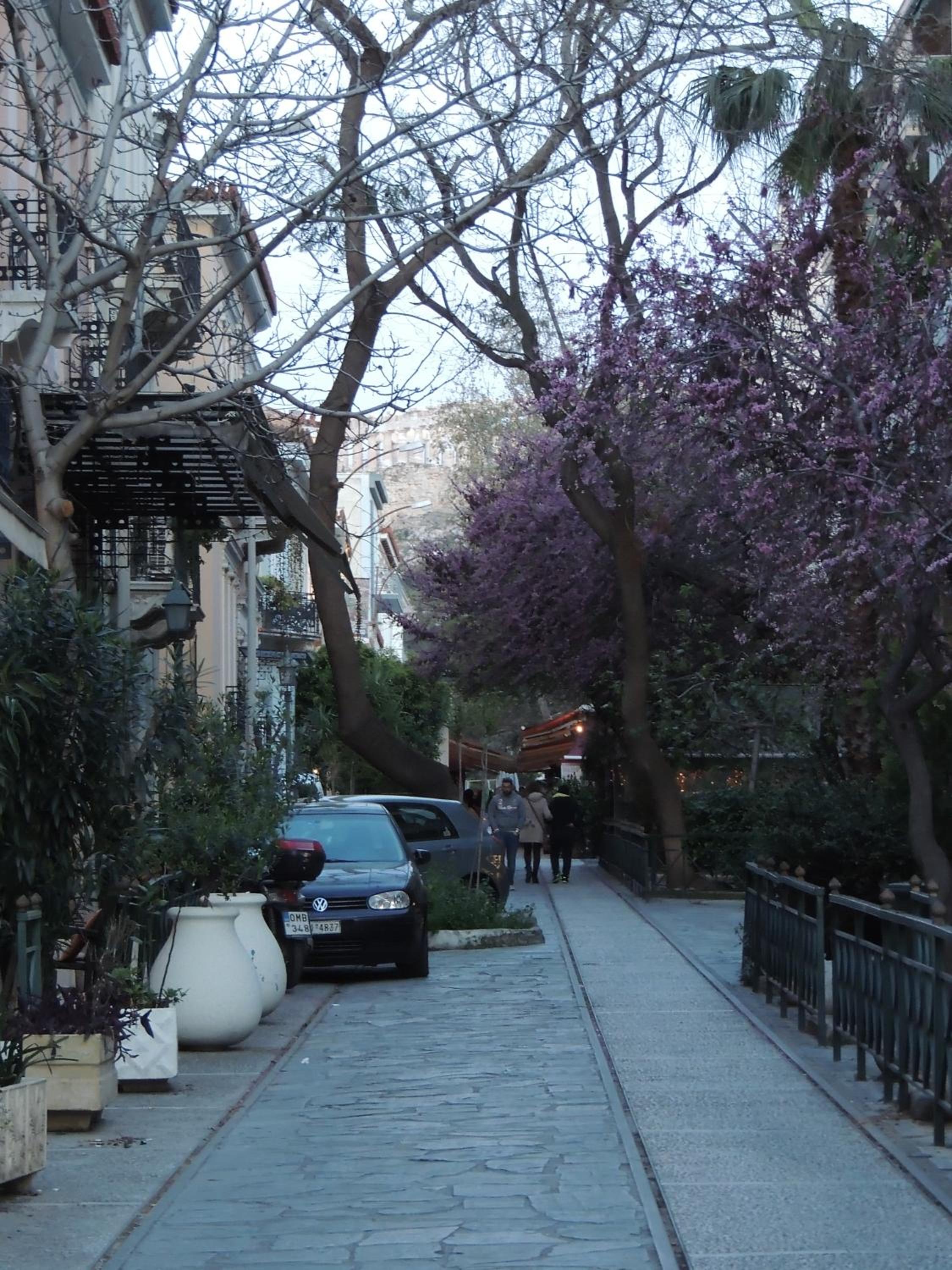 Soho Athene Apartment