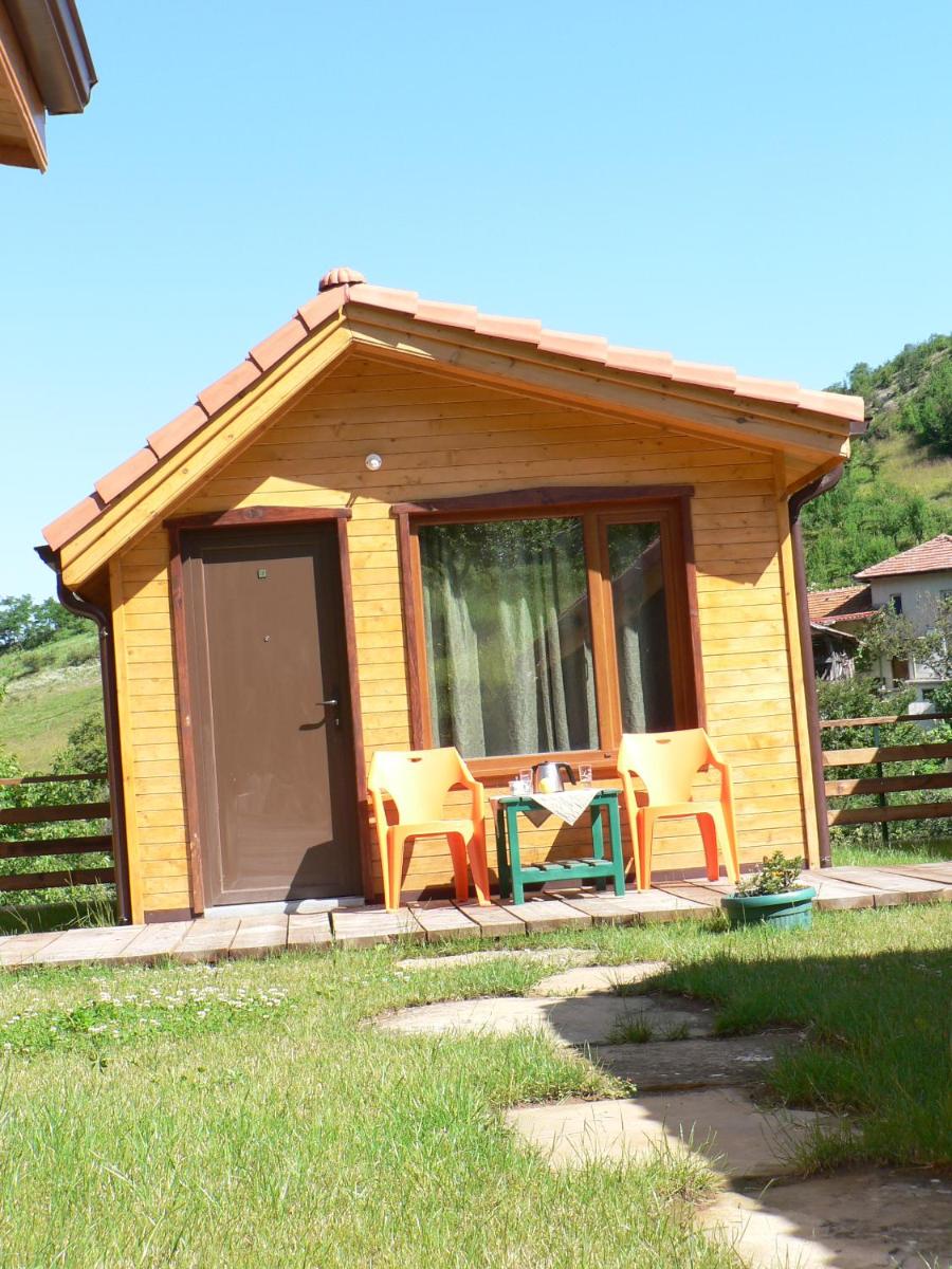 Photo 6