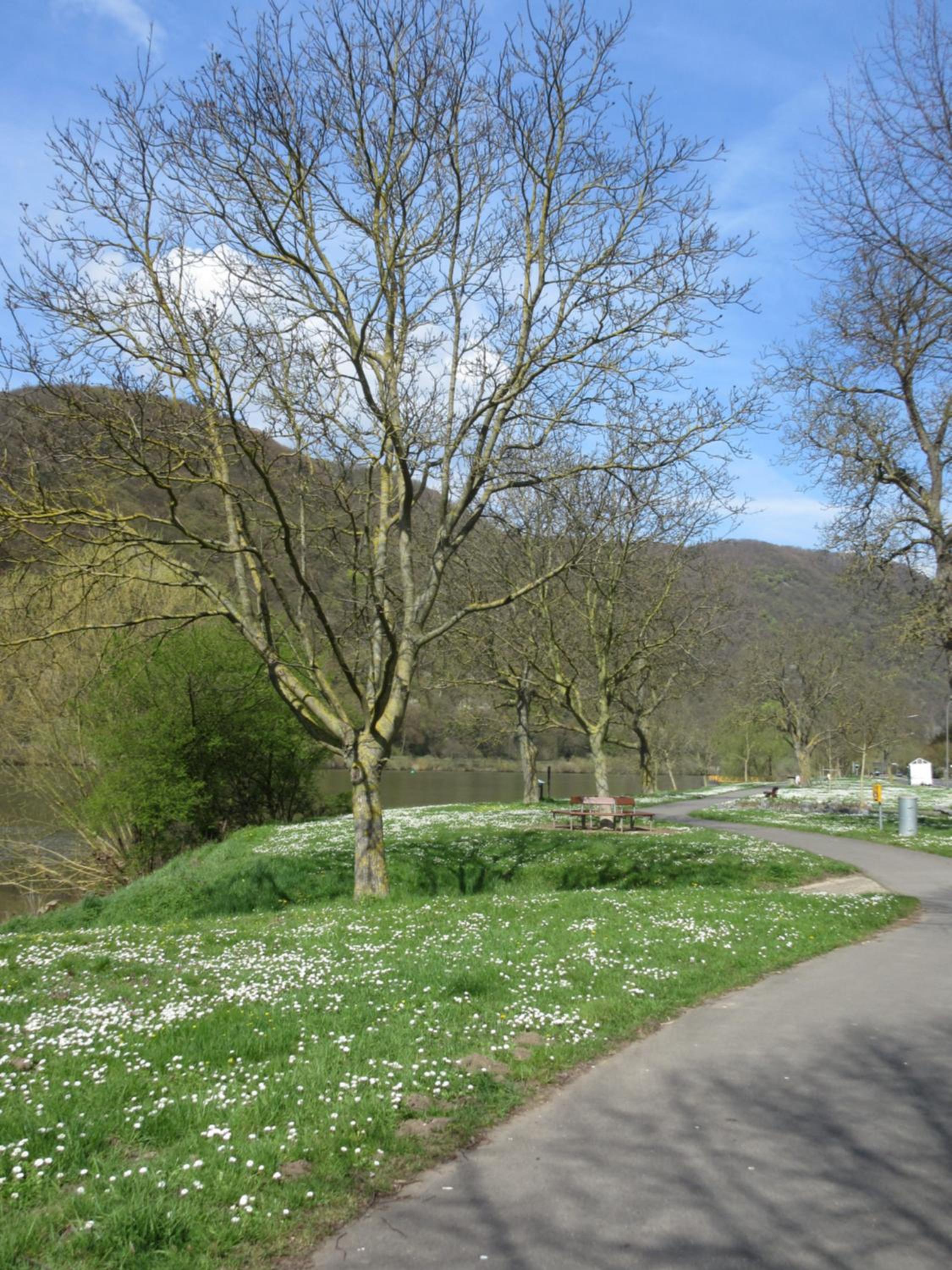 Historisches Ferienhaus Abteistraße