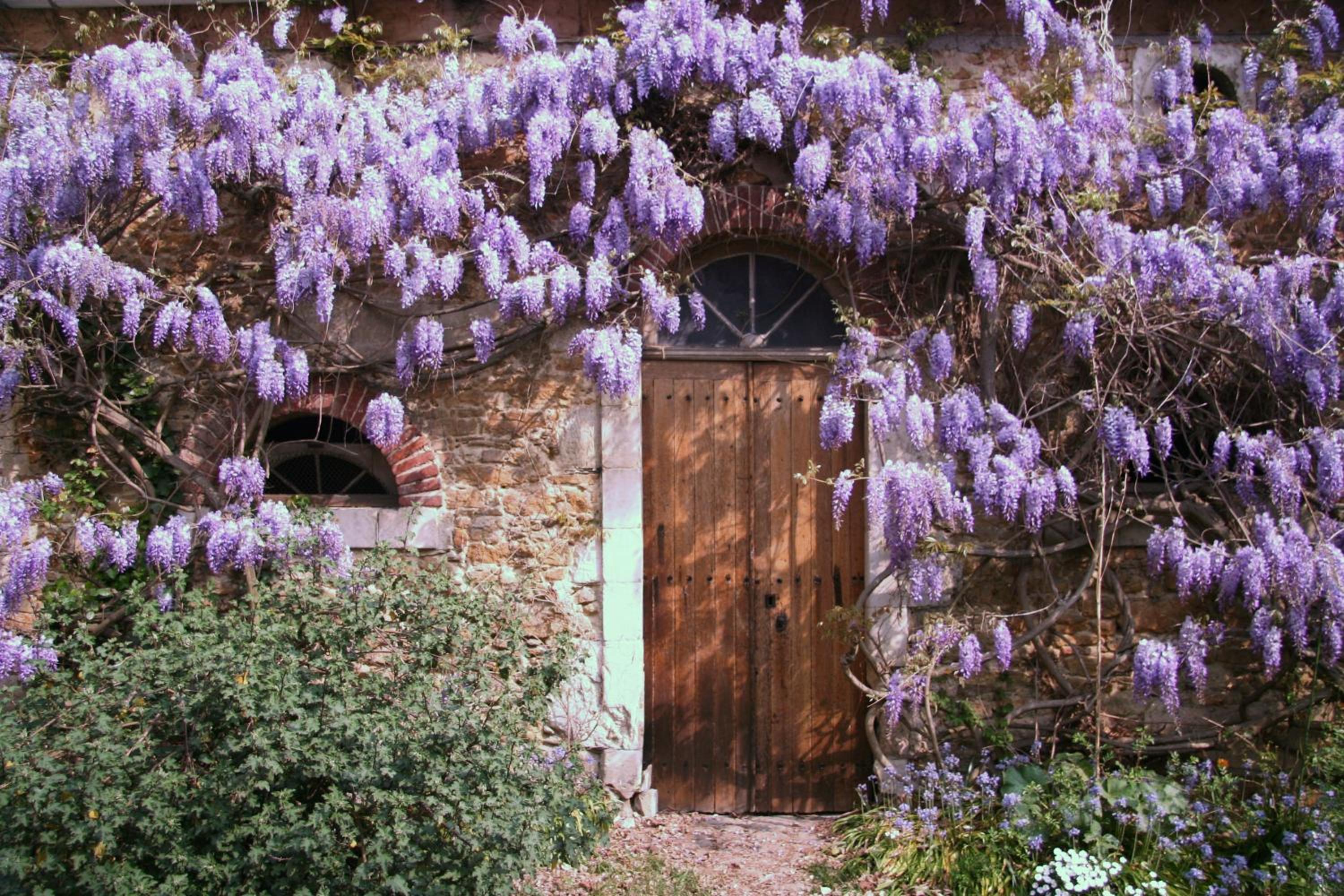 Chambres d'hôtes Le Clos d'Hauteville, photo 16