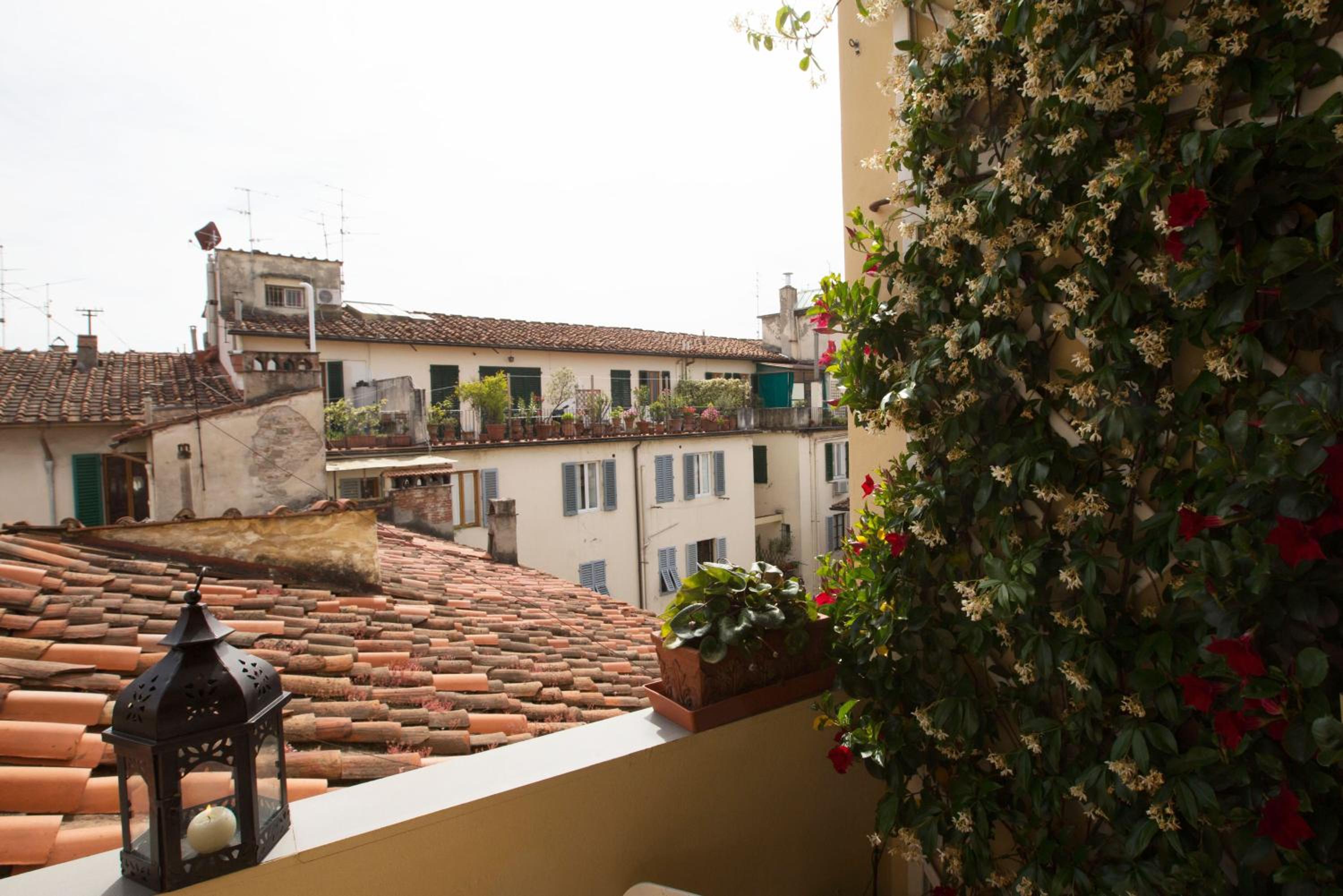 San Marco Suite Center