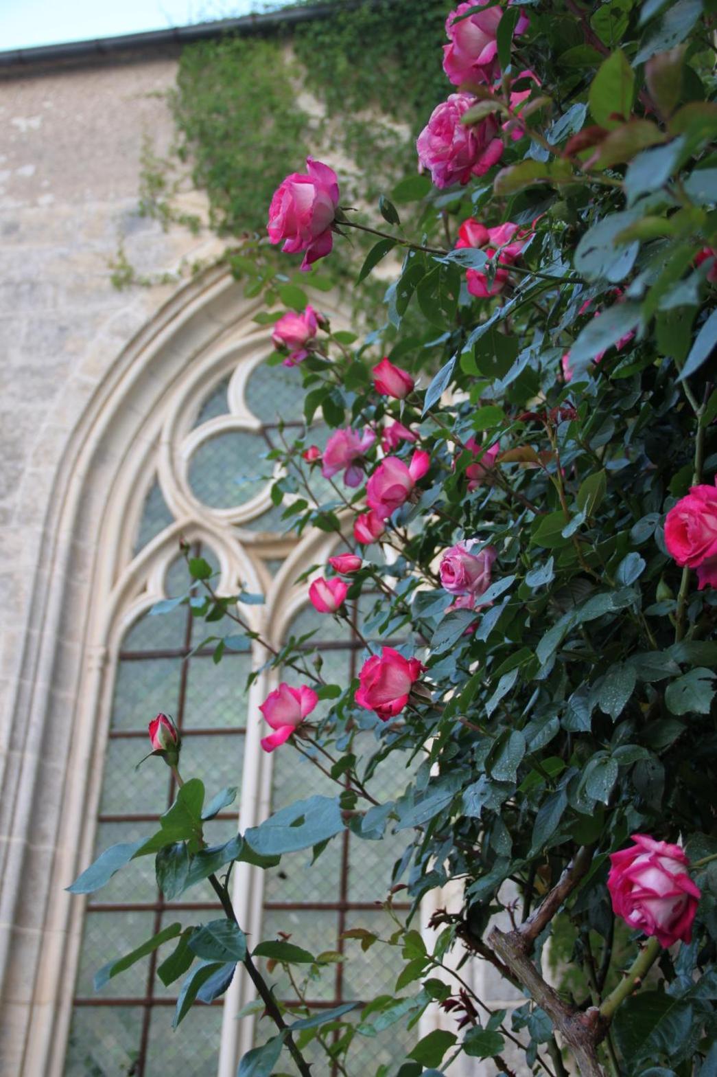 Photo 42