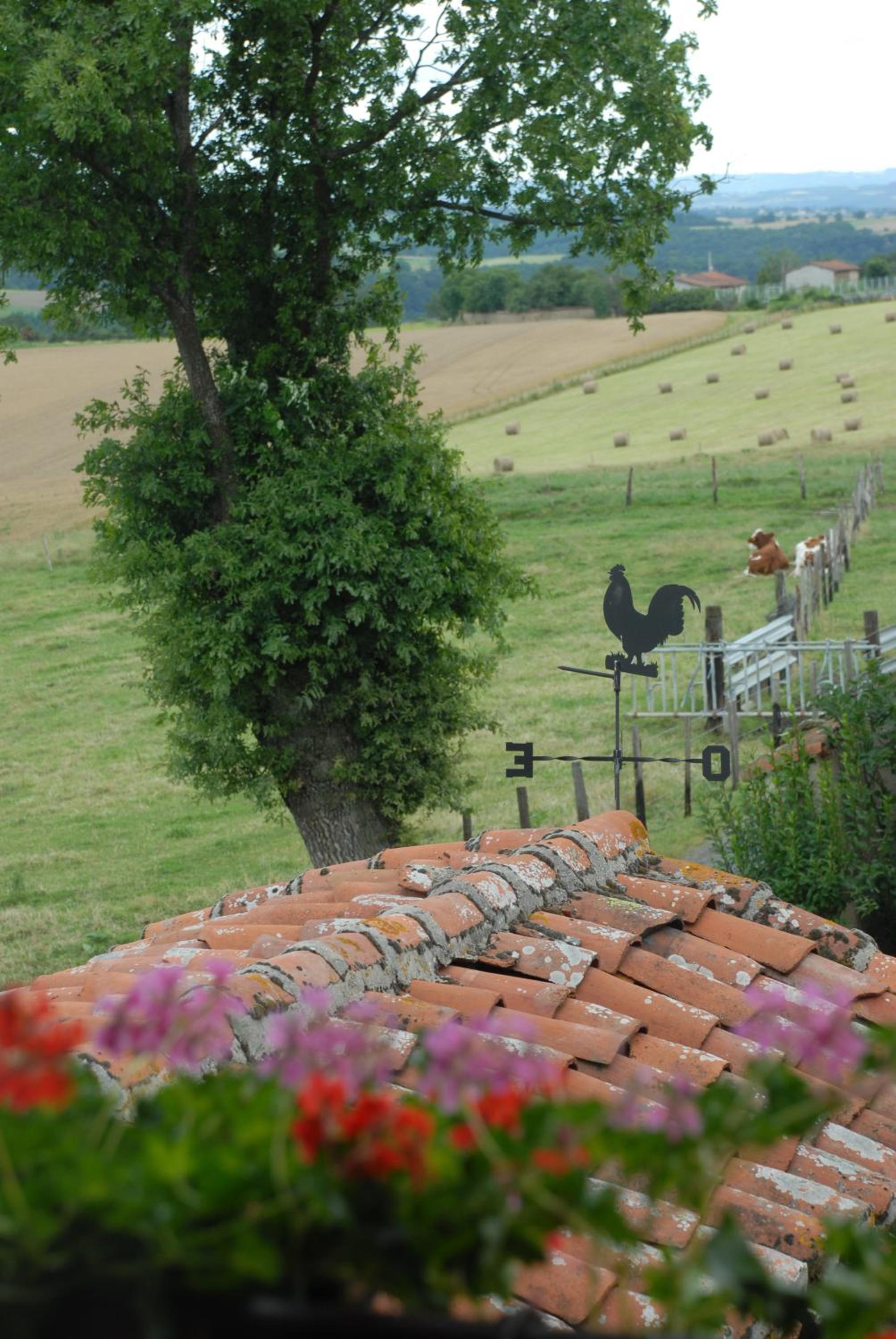 Chez Jacotte et Elia