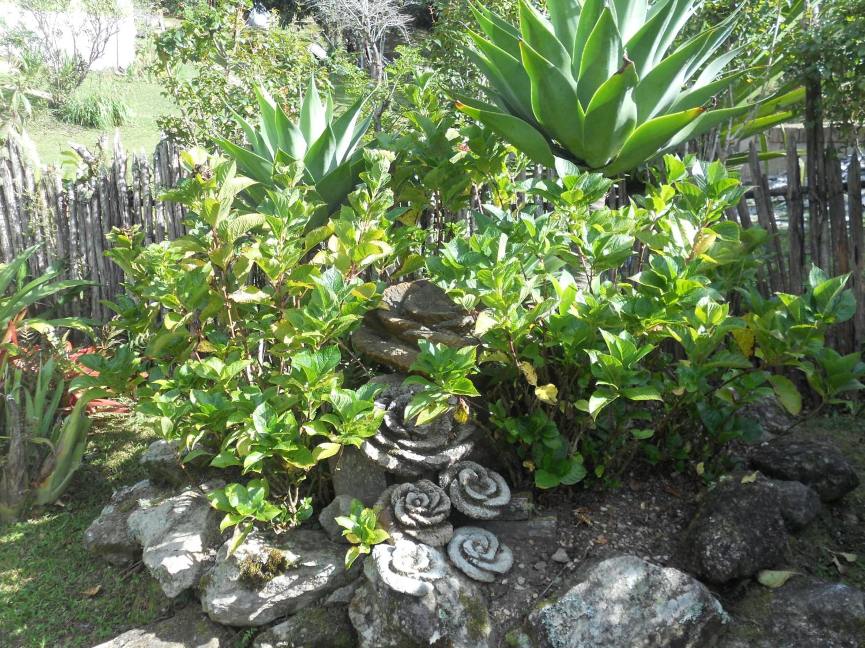 Photo 44