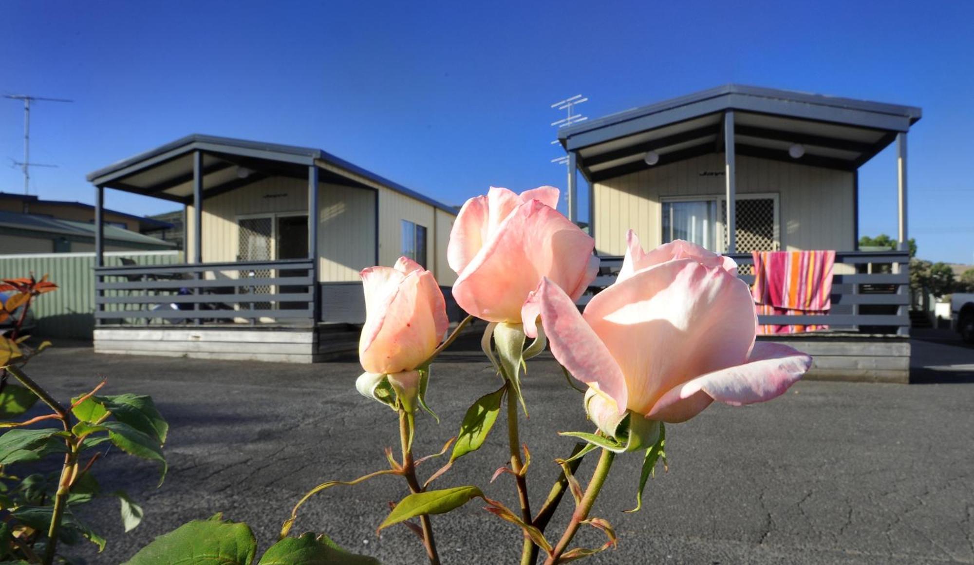 Apollo Bay Holiday Park