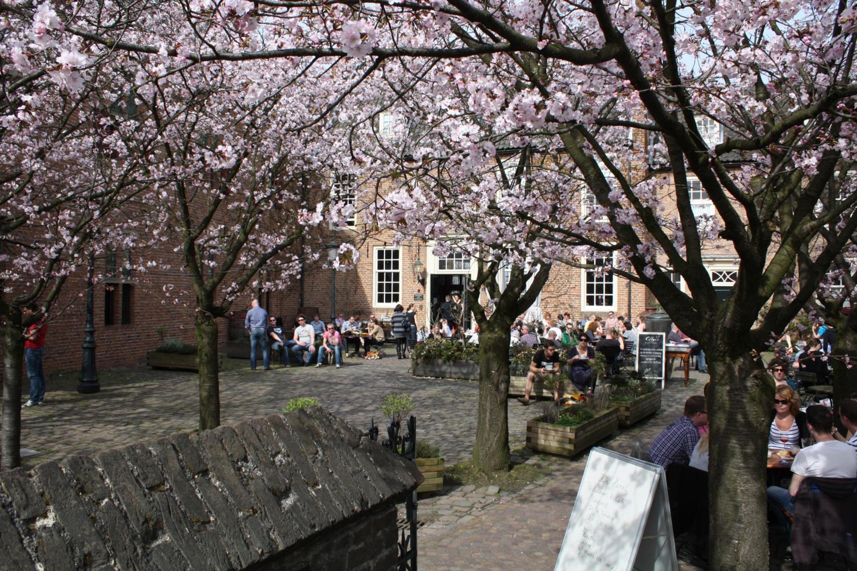 Photo 48