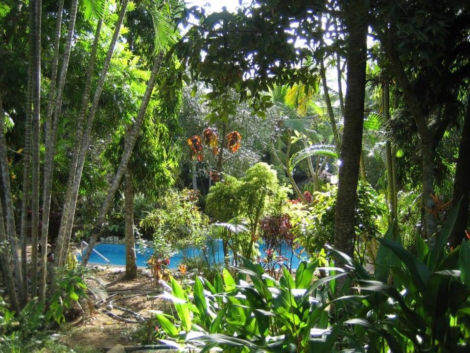 Whispering House