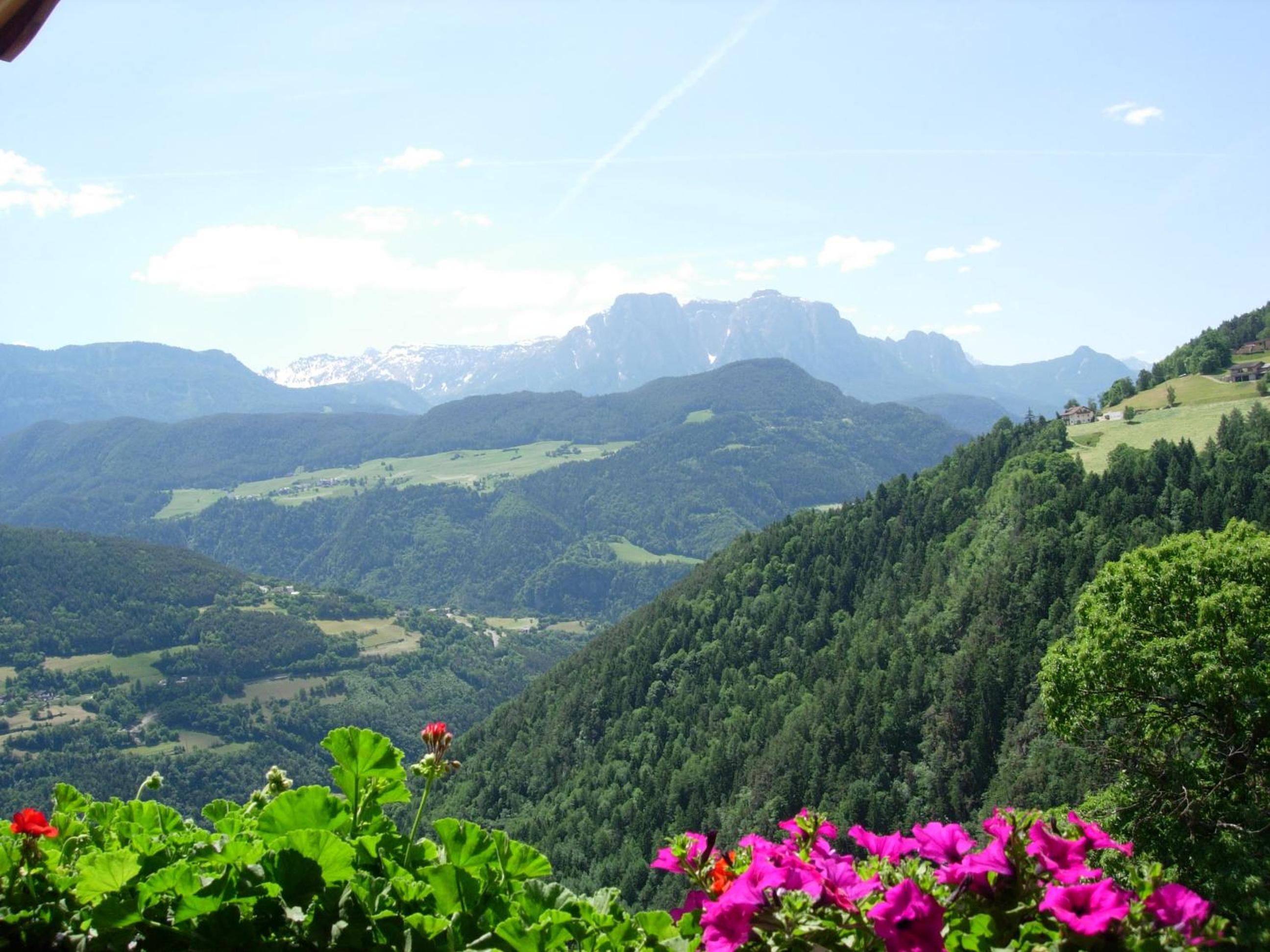 Malsethhof view 4