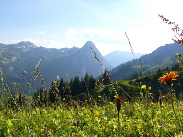 Gratzerhof