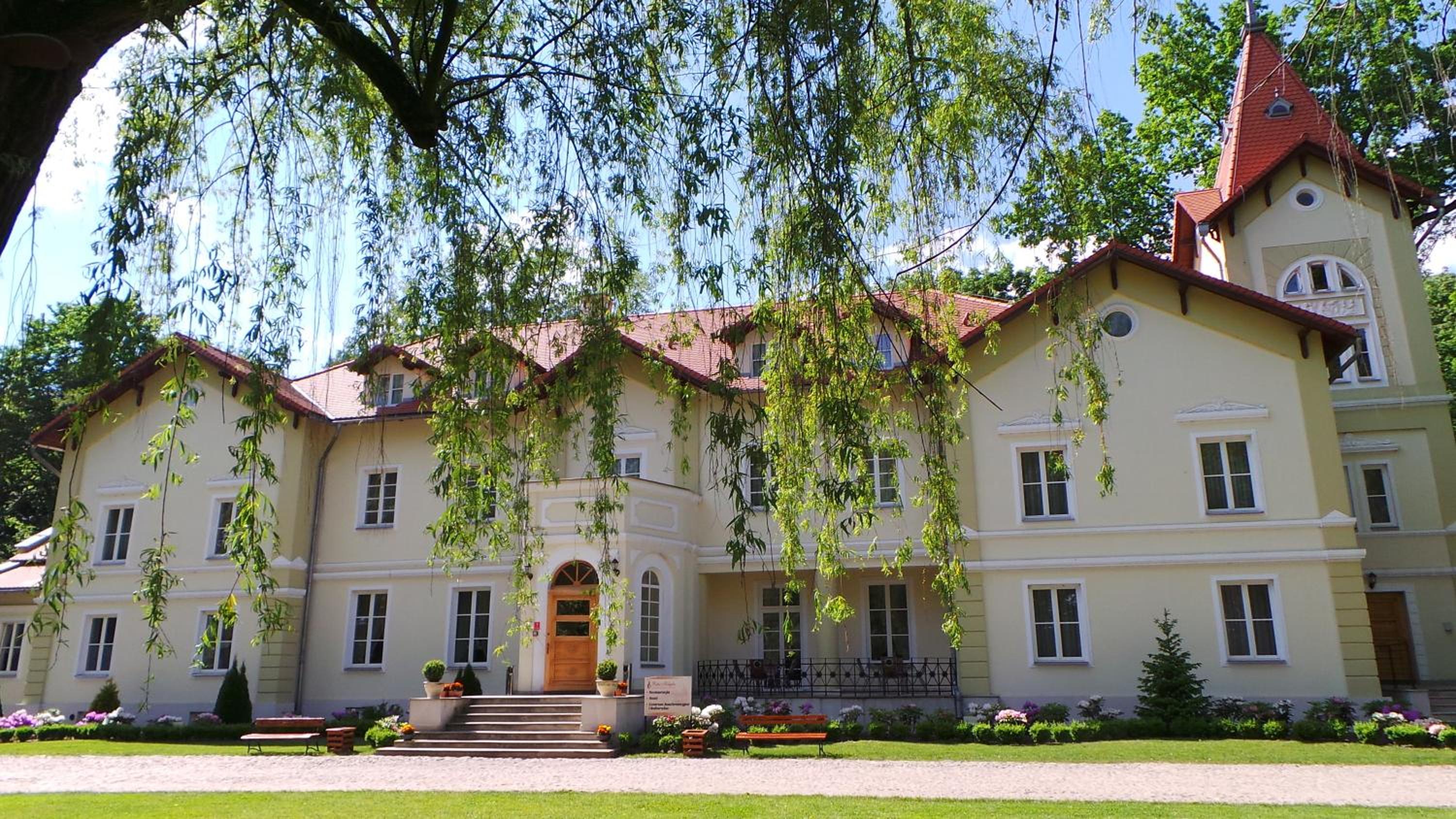 Pałac Kobylin view 2