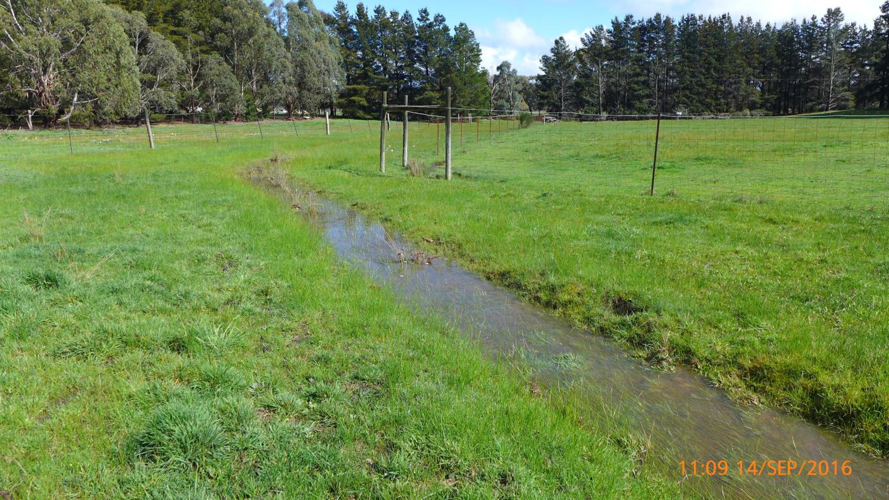 Helen's Homestead