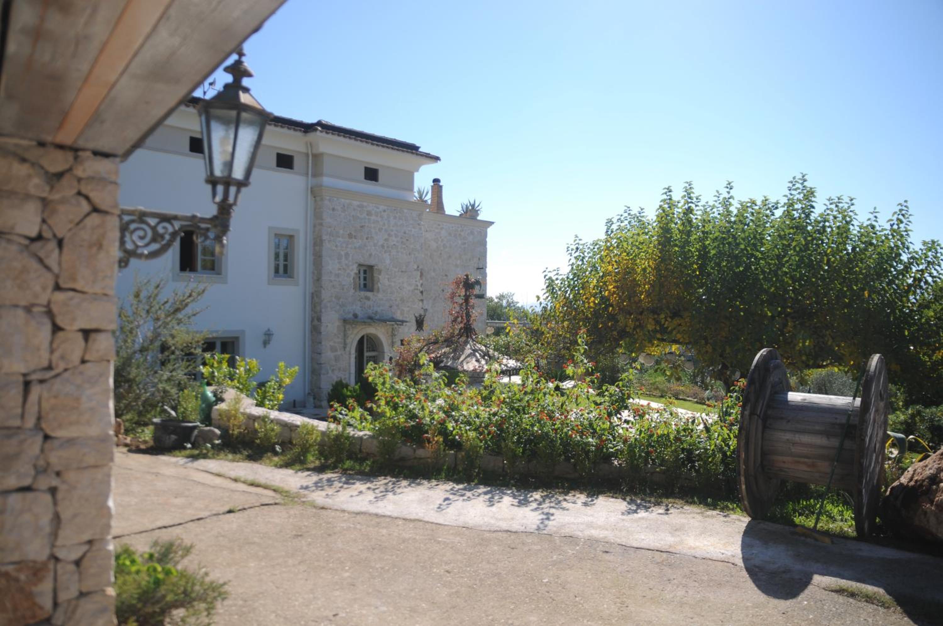 Photo 10
