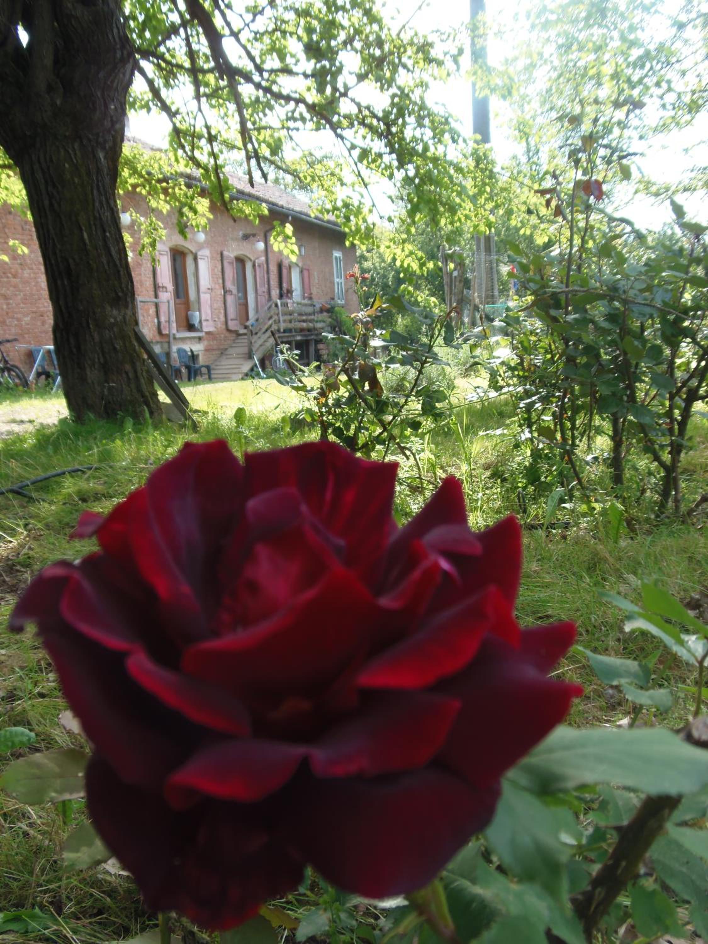 Agriturismo Cascina degli Ulivi