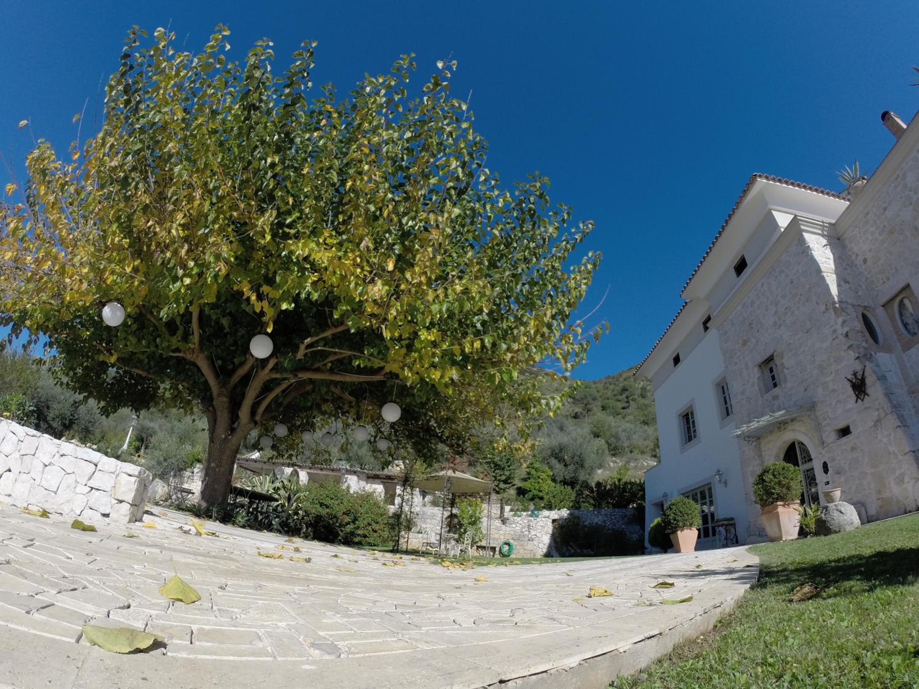Photo 25