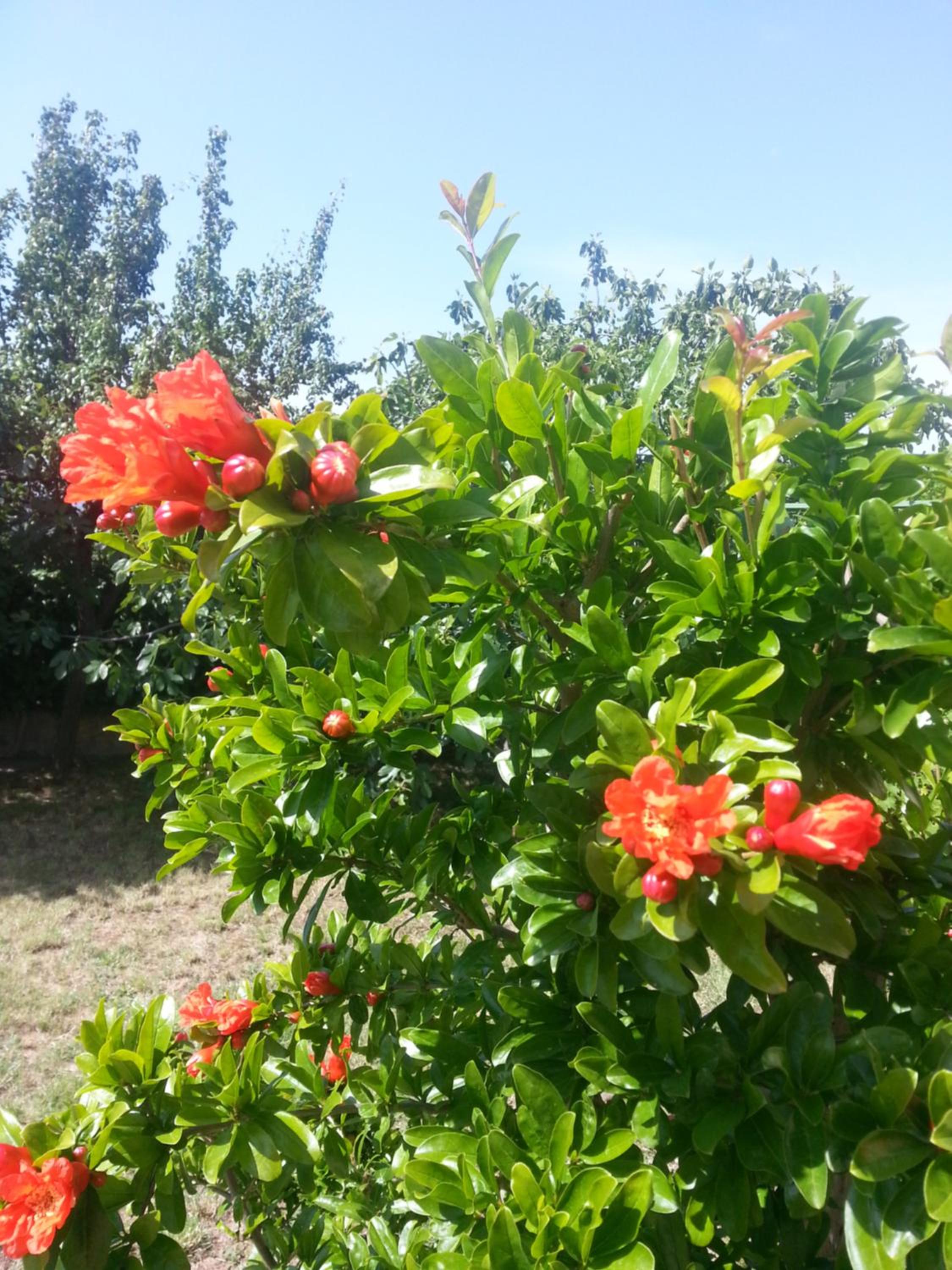 Photo 32